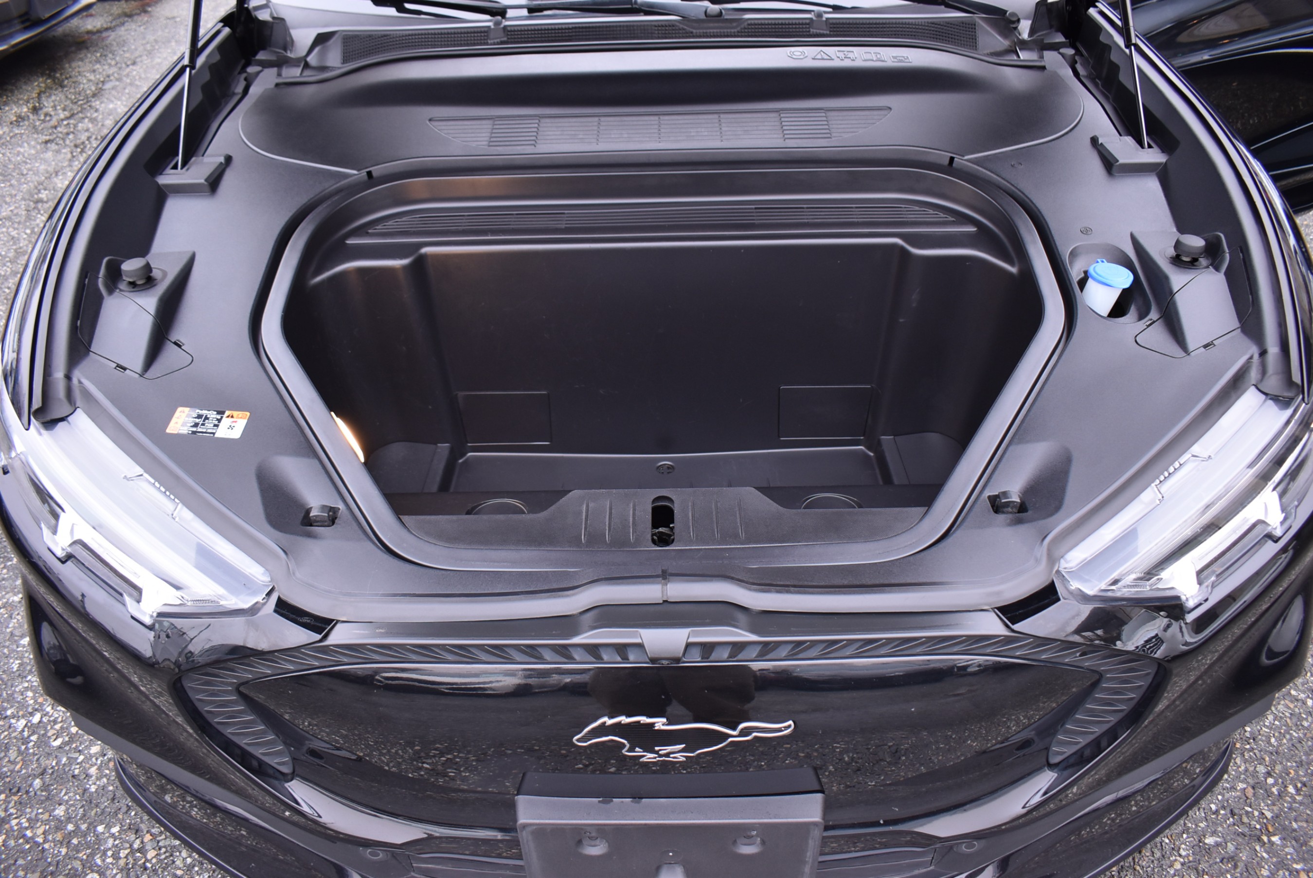 /driveonautoscanadaltd/2021-Ford-MustangMach-E-6869158425600004.jpg