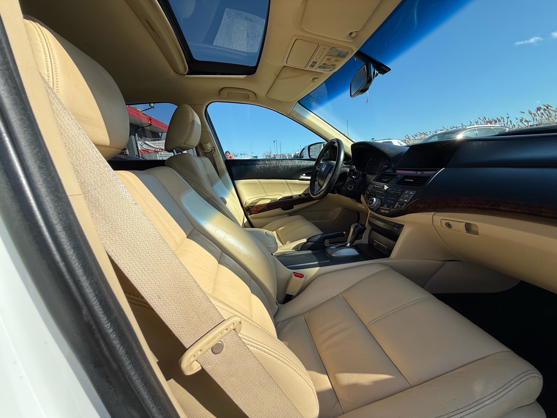 /elitenovaautoinc/2012-Honda-Crosstour-8218783833321364.jpg
