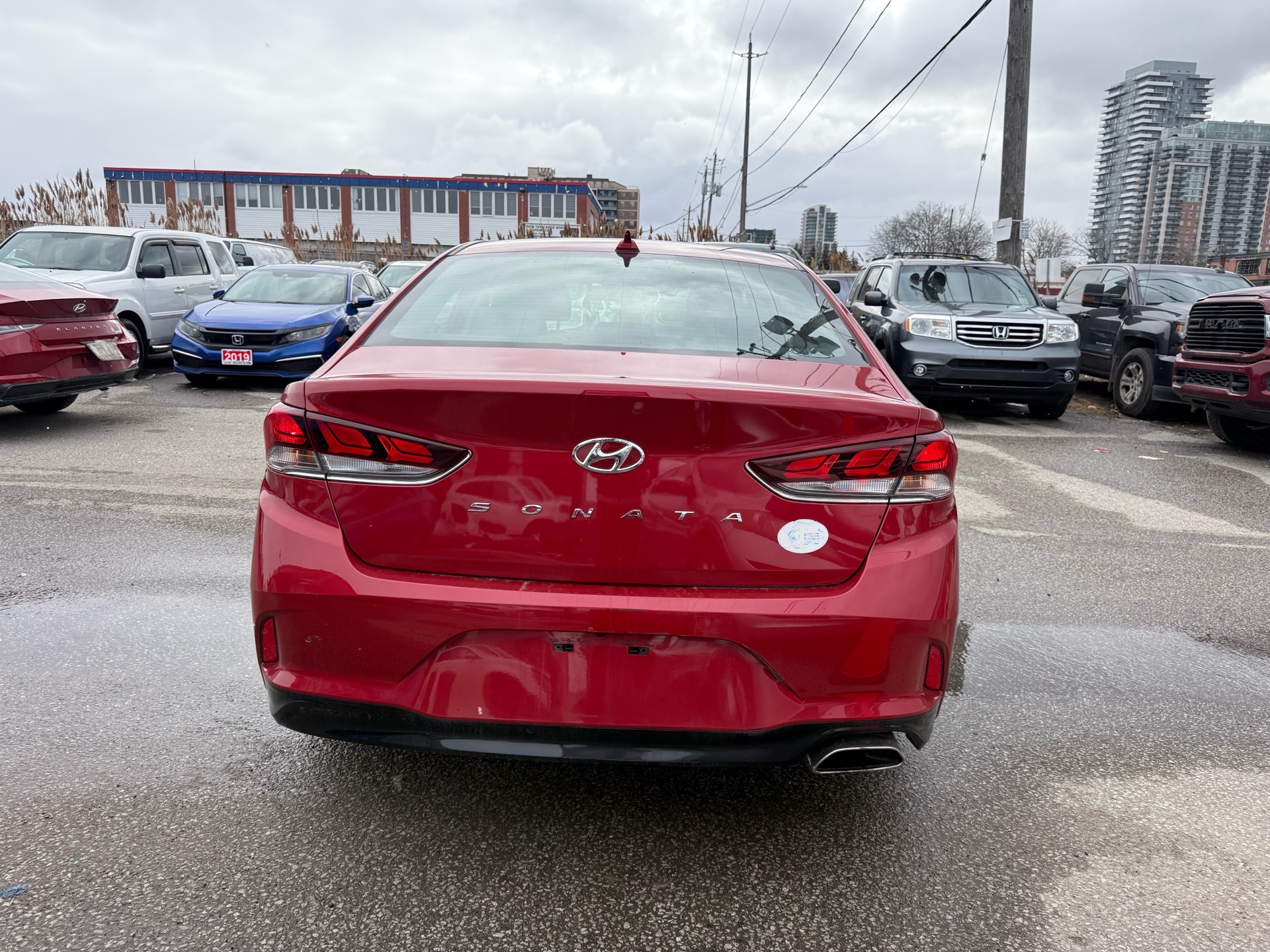 /elitenovaautoinc/2019-Hyundai-Sonata-06646159721480305.jpg