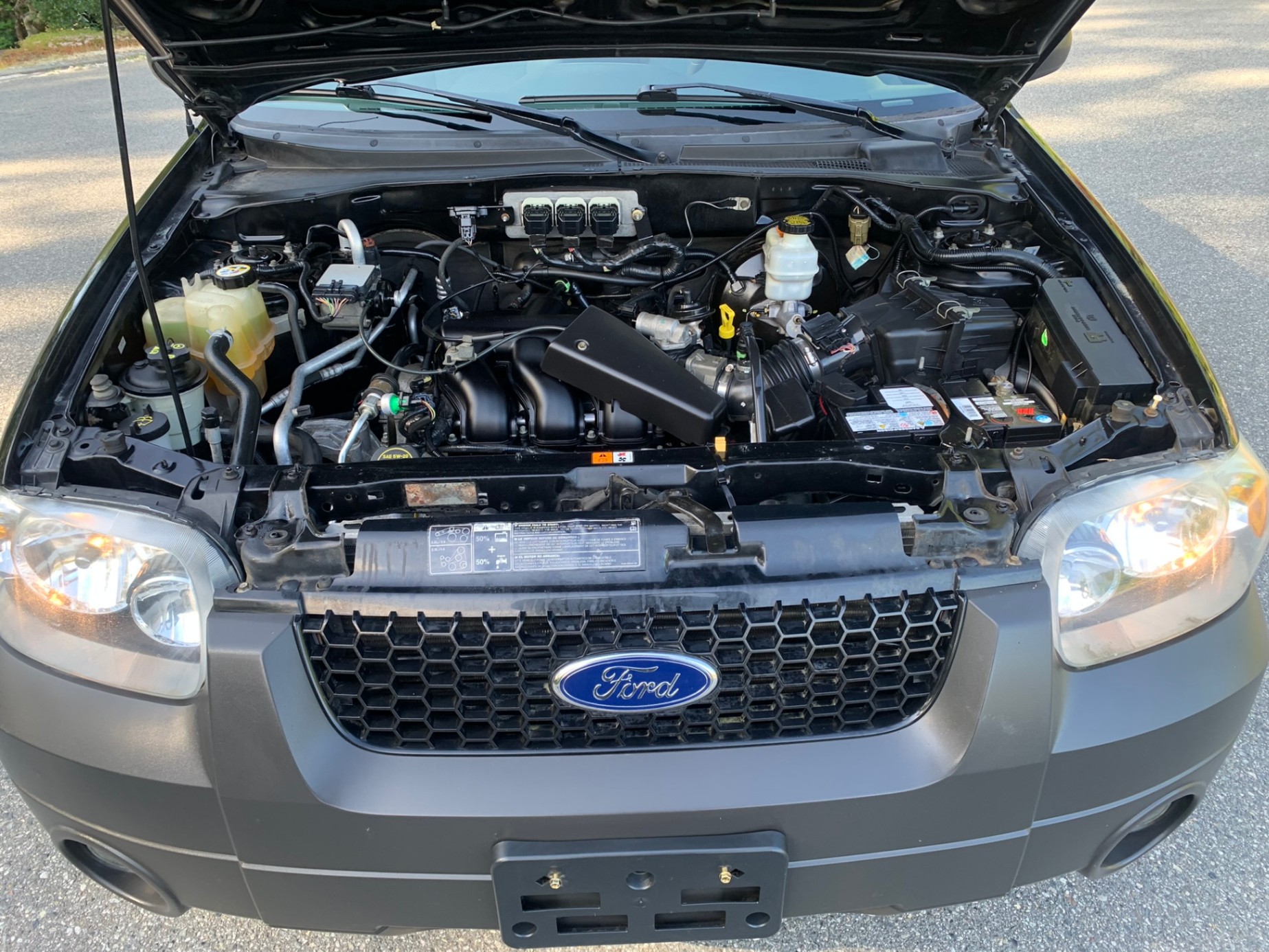 /enixmotorsportltd/2006-Ford-Escape-7218845552407149.jpg