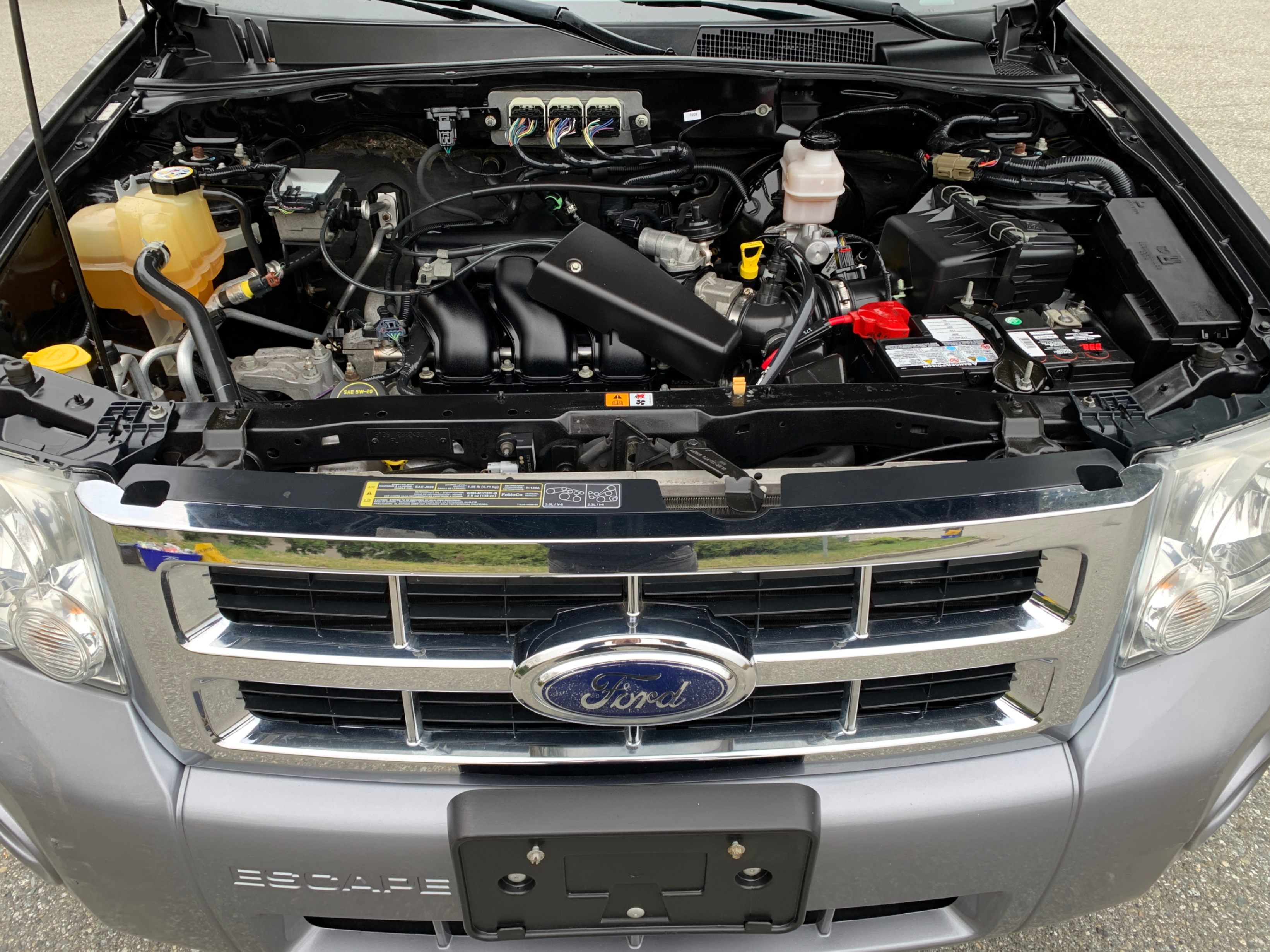 /enixmotorsportltd/2008-Ford-Escape-05778840469206803.jpg