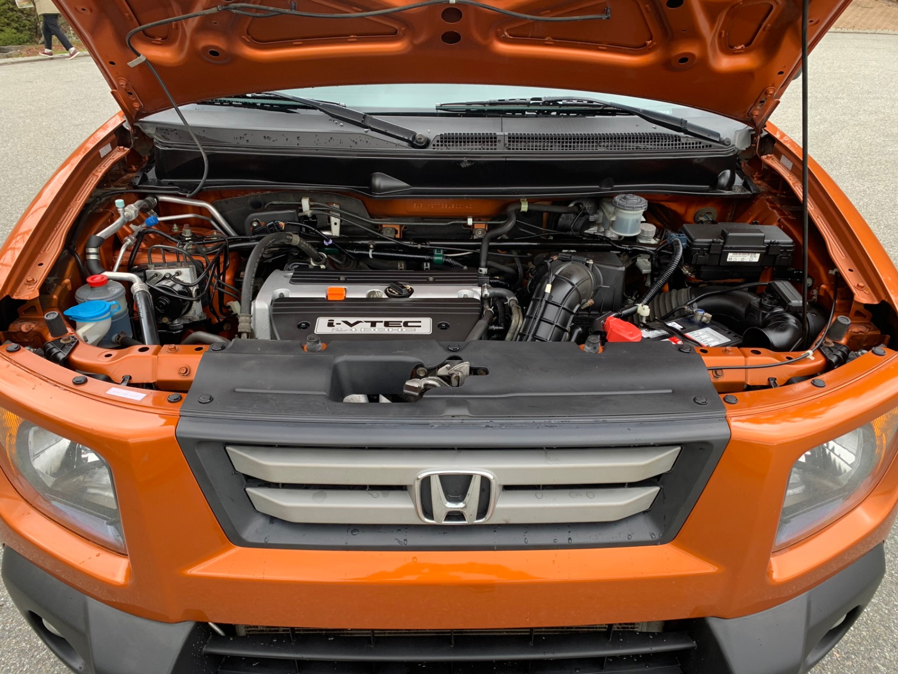 /enixmotorsportltd/2008-Honda-Element-9936354193709331.jpg