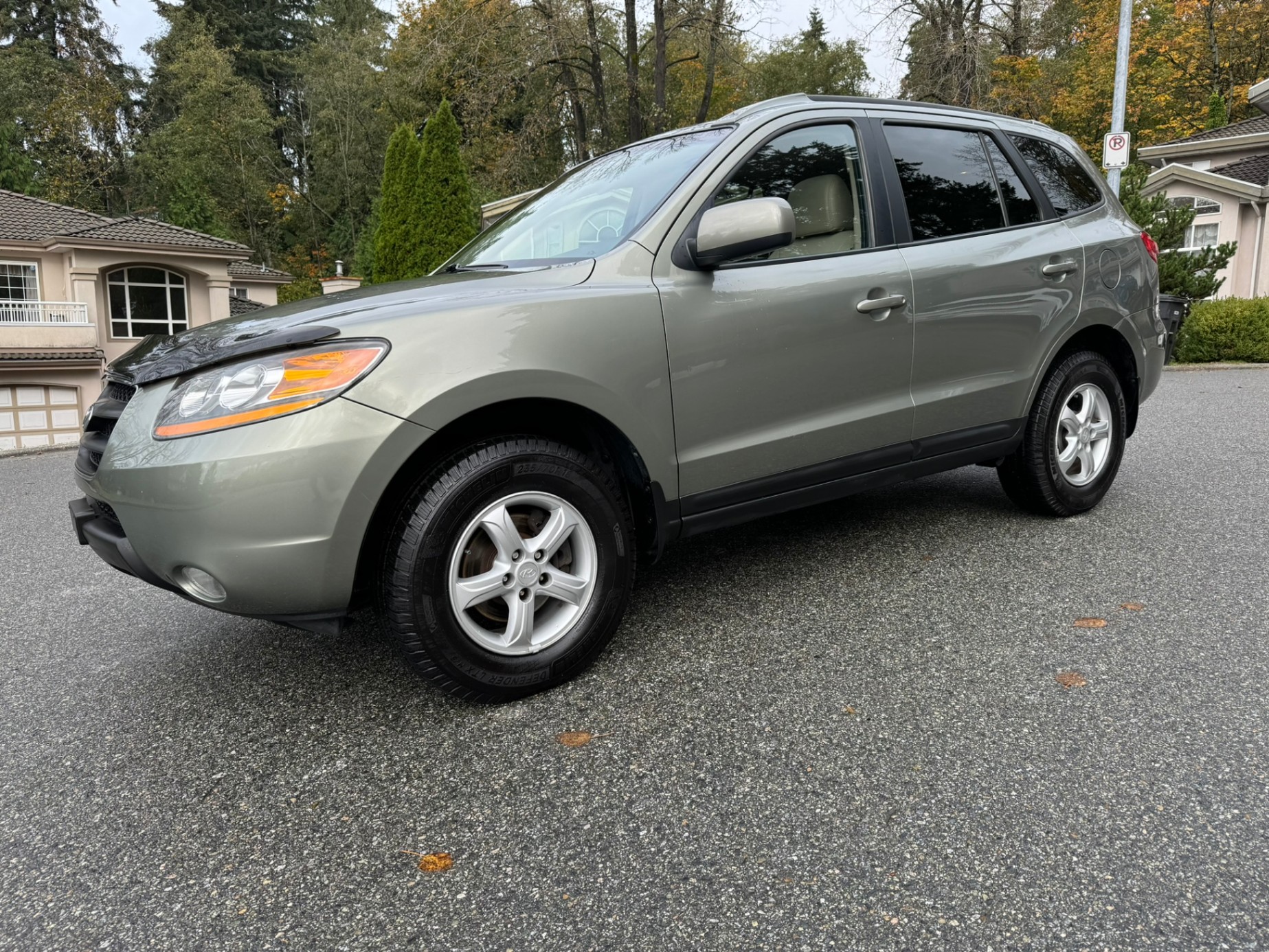 /enixmotorsportltd/2009-Hyundai-SantaFe-39143124037580335.jpg