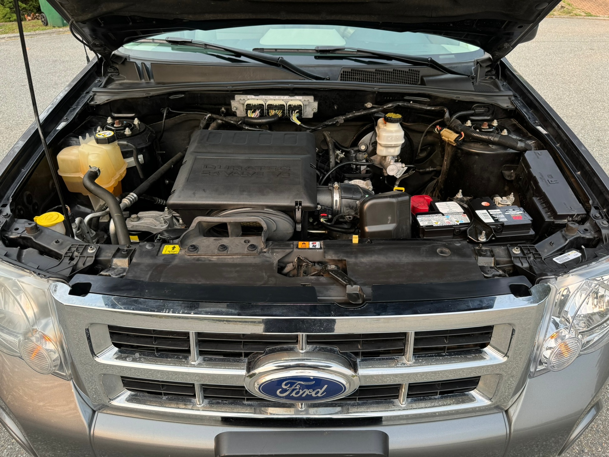 /enixmotorsportltd/2010-Ford-Escape-0648879288096984.jpg