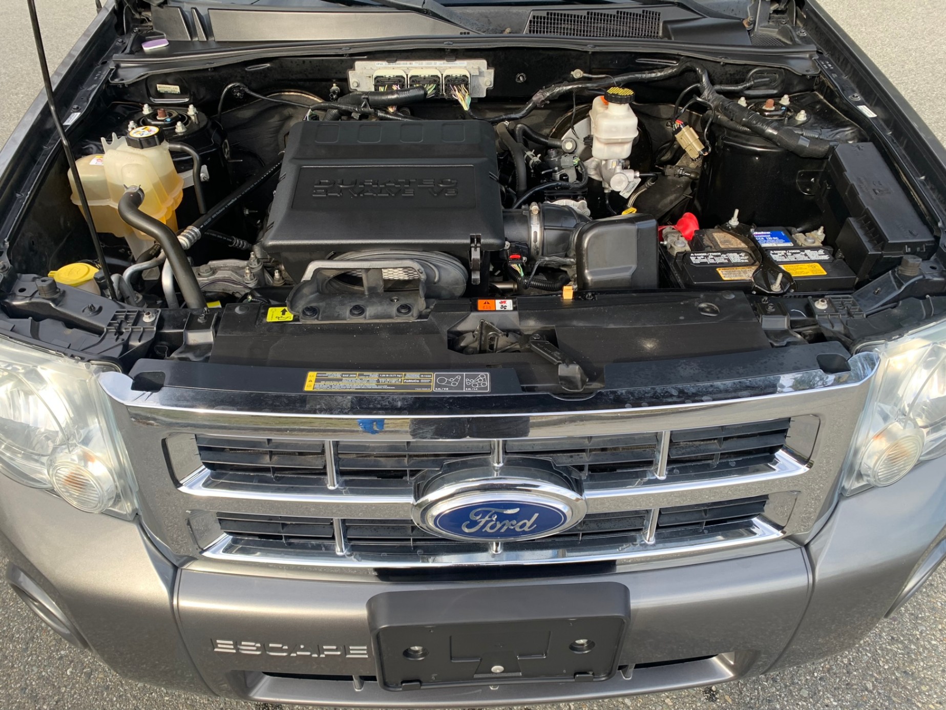 /enixmotorsportltd/2010-Ford-Escape-13155877494437895.jpg