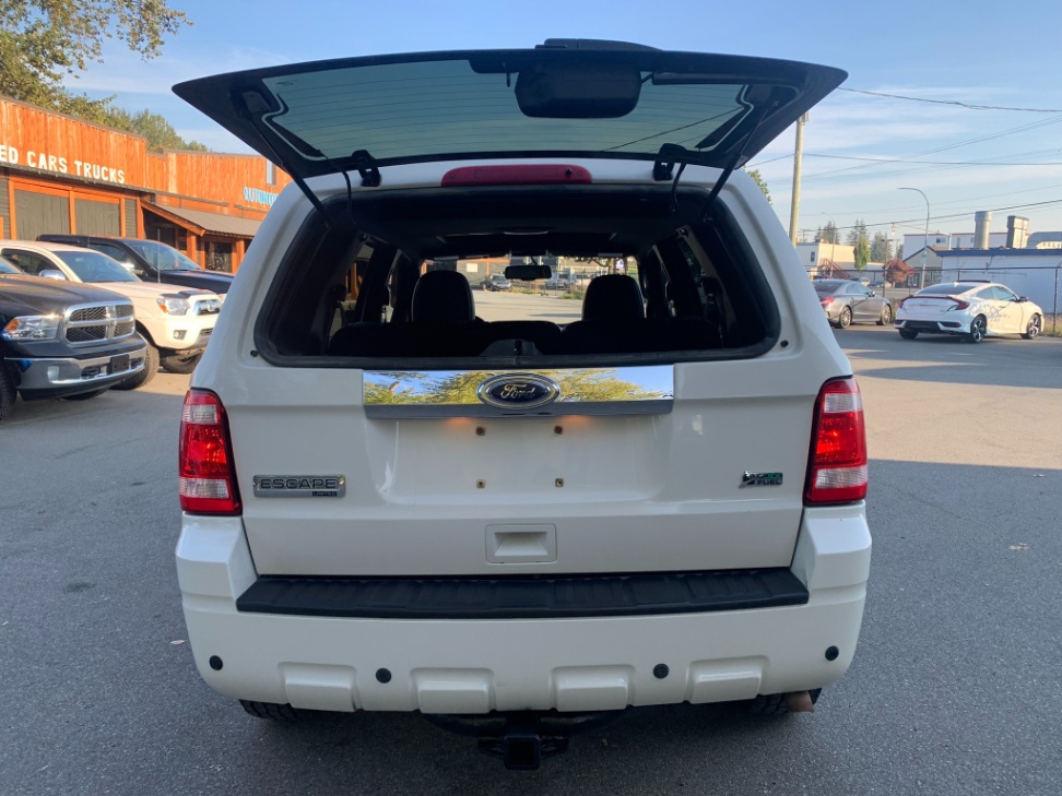 /enixmotorsportltd/2010-Ford-Escape-43500201634476765.jpg