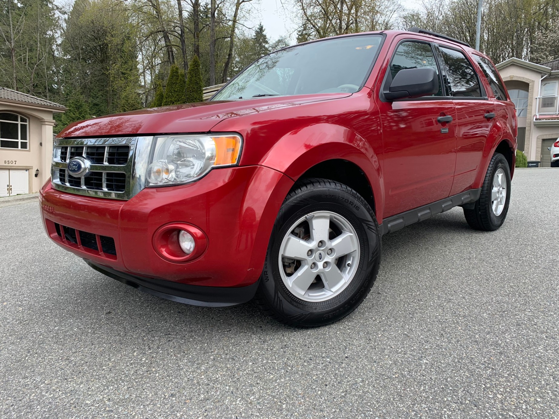 /enixmotorsportltd/2010-Ford-Escape-49962070535932757.jpg