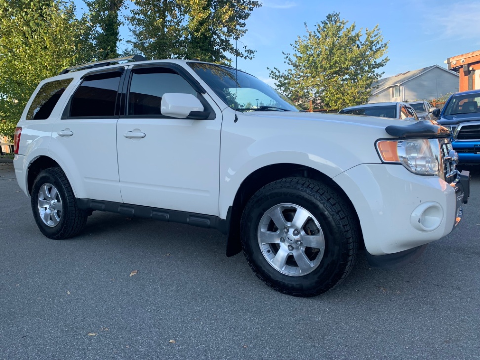 /enixmotorsportltd/2010-Ford-Escape-5158079336092585.jpg