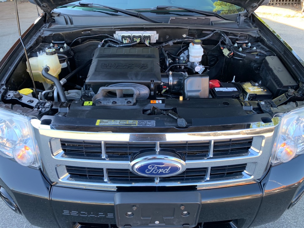 /enixmotorsportltd/2010-Ford-Escape-5285891137860592.jpg