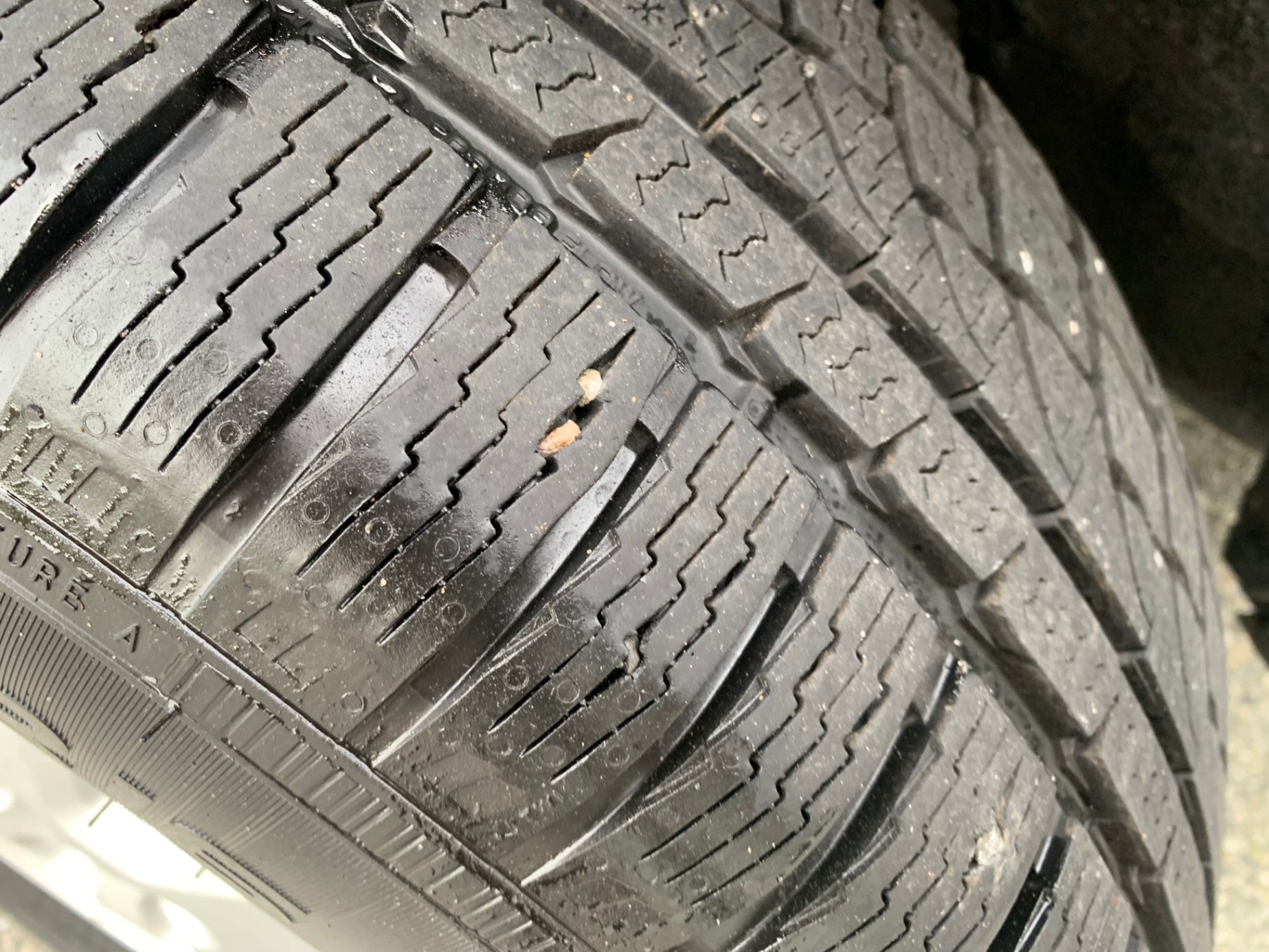 /enixmotorsportltd/2010-Ford-Escape-6081763726247269.jpg