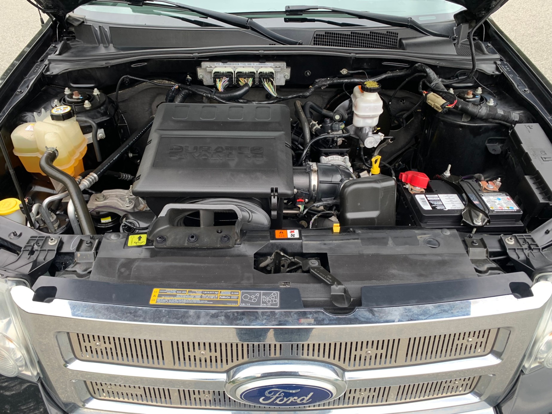 /enixmotorsportltd/2010-Ford-Escape-8512502857298989.jpg