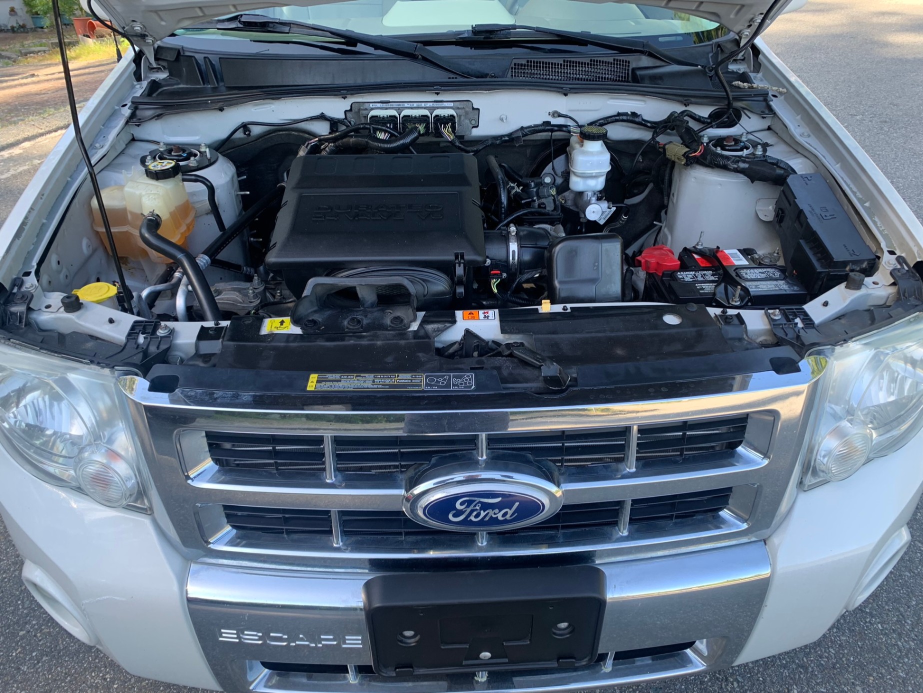 /enixmotorsportltd/2010-Ford-Escape-8519273227572612.jpg