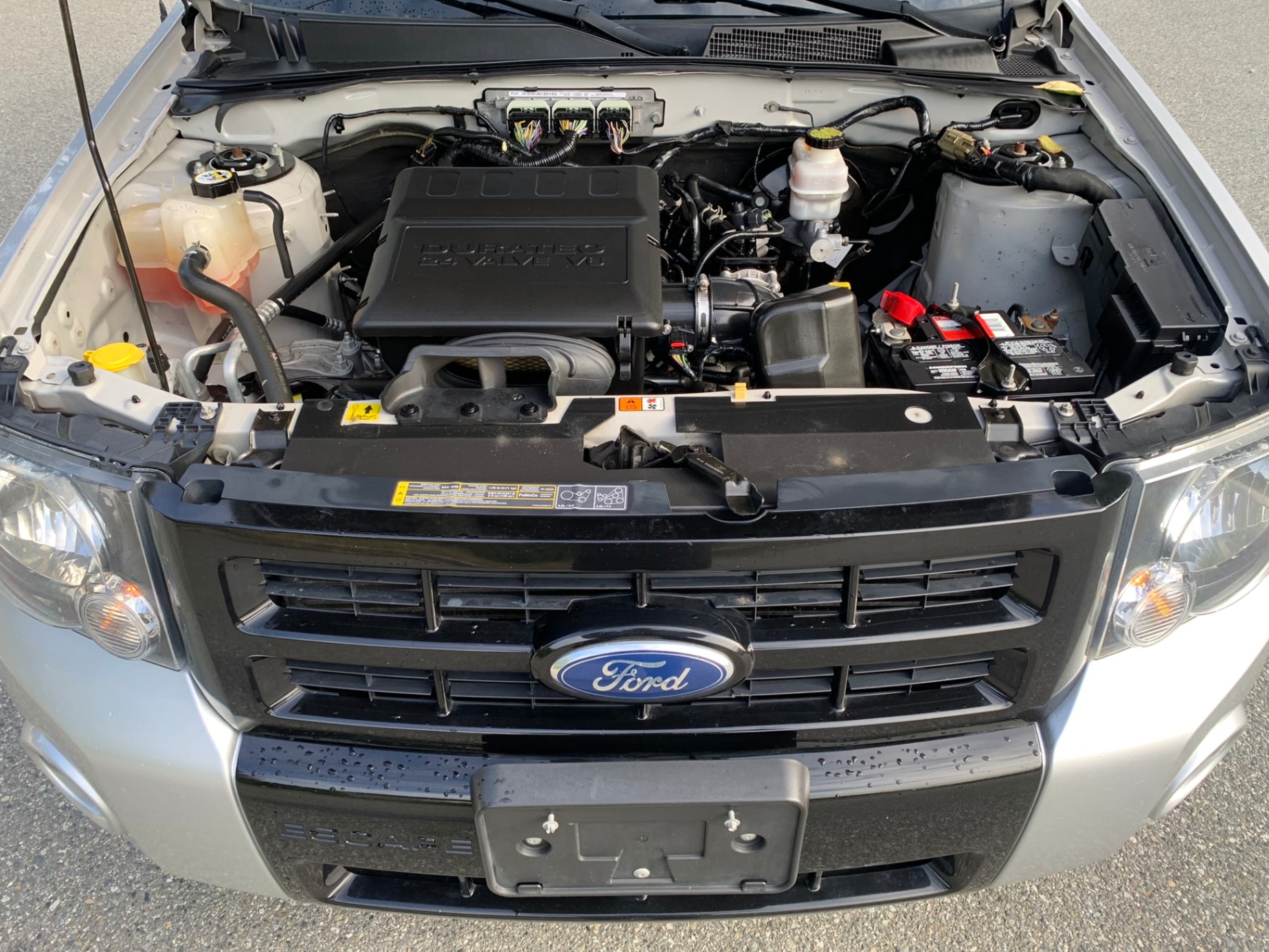 /enixmotorsportltd/2012-Ford-Escape-22005776380517927.jpg