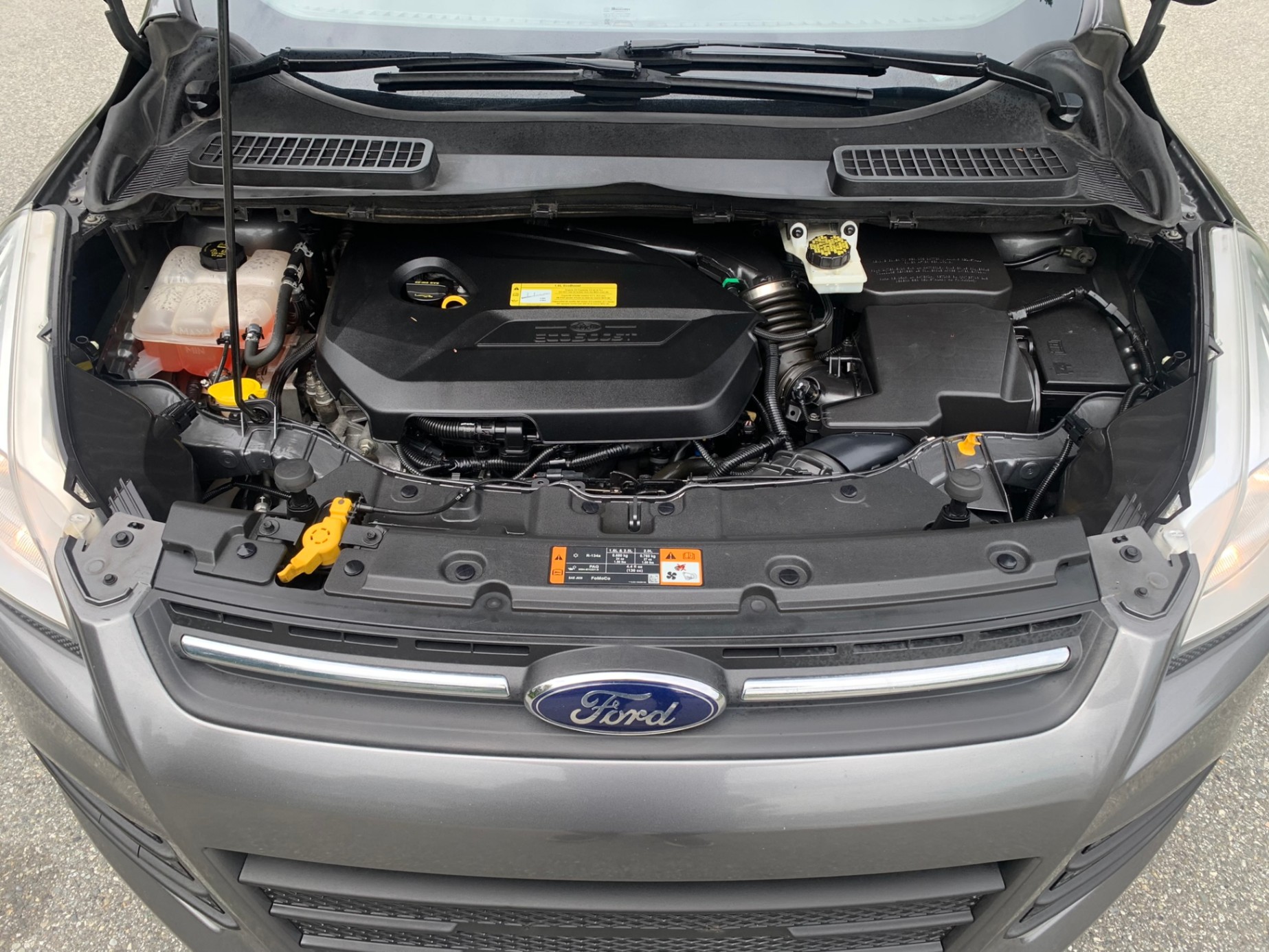 /enixmotorsportltd/2014-Ford-Escape-3491214572084922.jpg