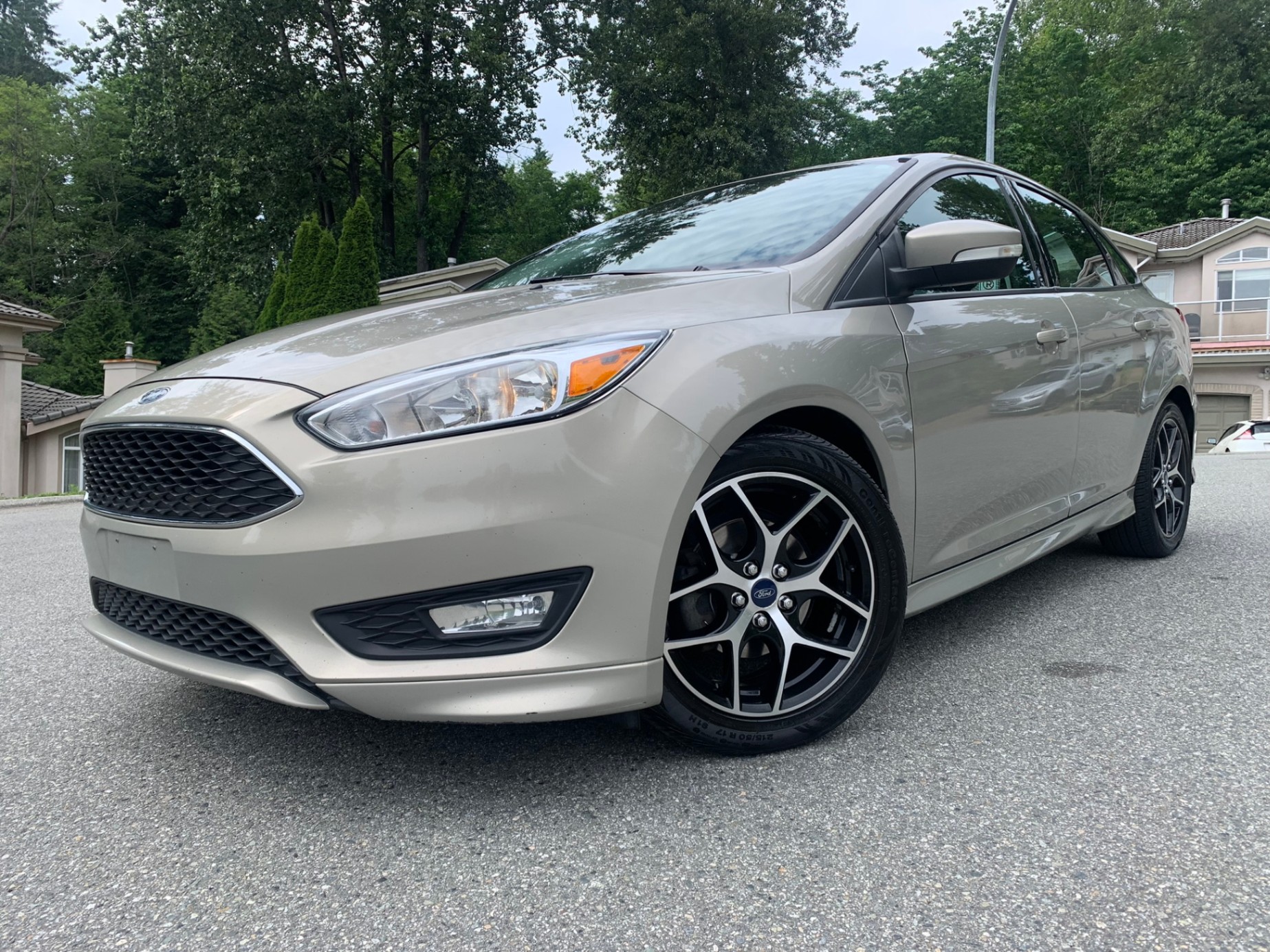 /enixmotorsportltd/2015-Ford-Focus-07635072027041367.jpg