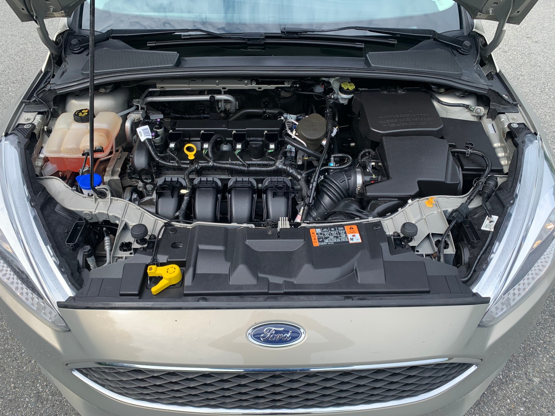 /enixmotorsportltd/2015-Ford-Focus-6190305189589851.jpg