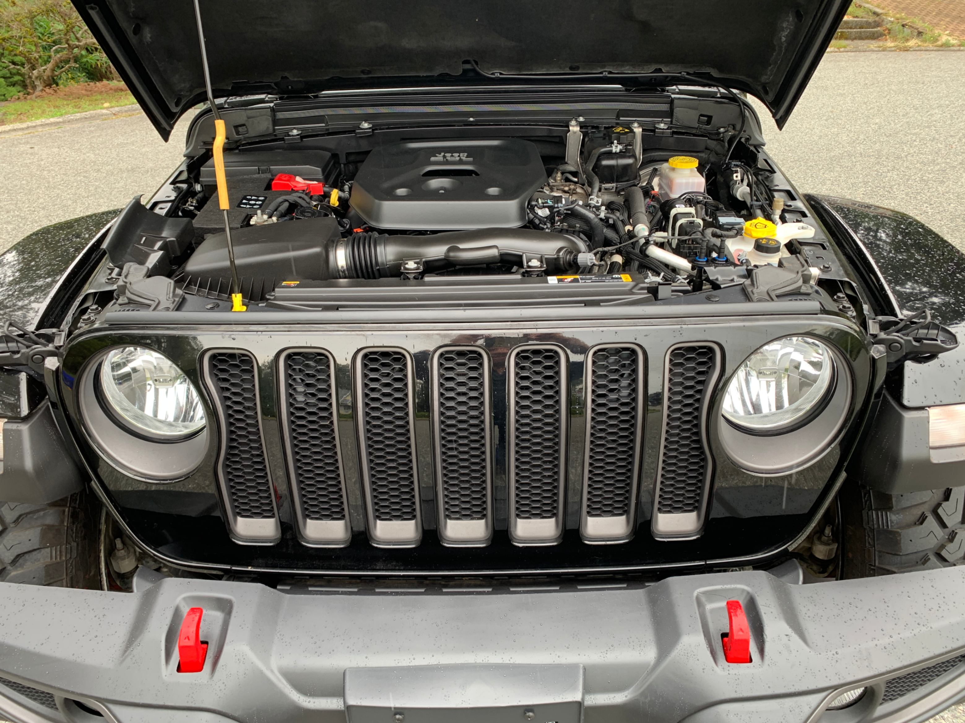 /enixmotorsportltd/2022-Jeep-Wrangler-797733949412134.jpg