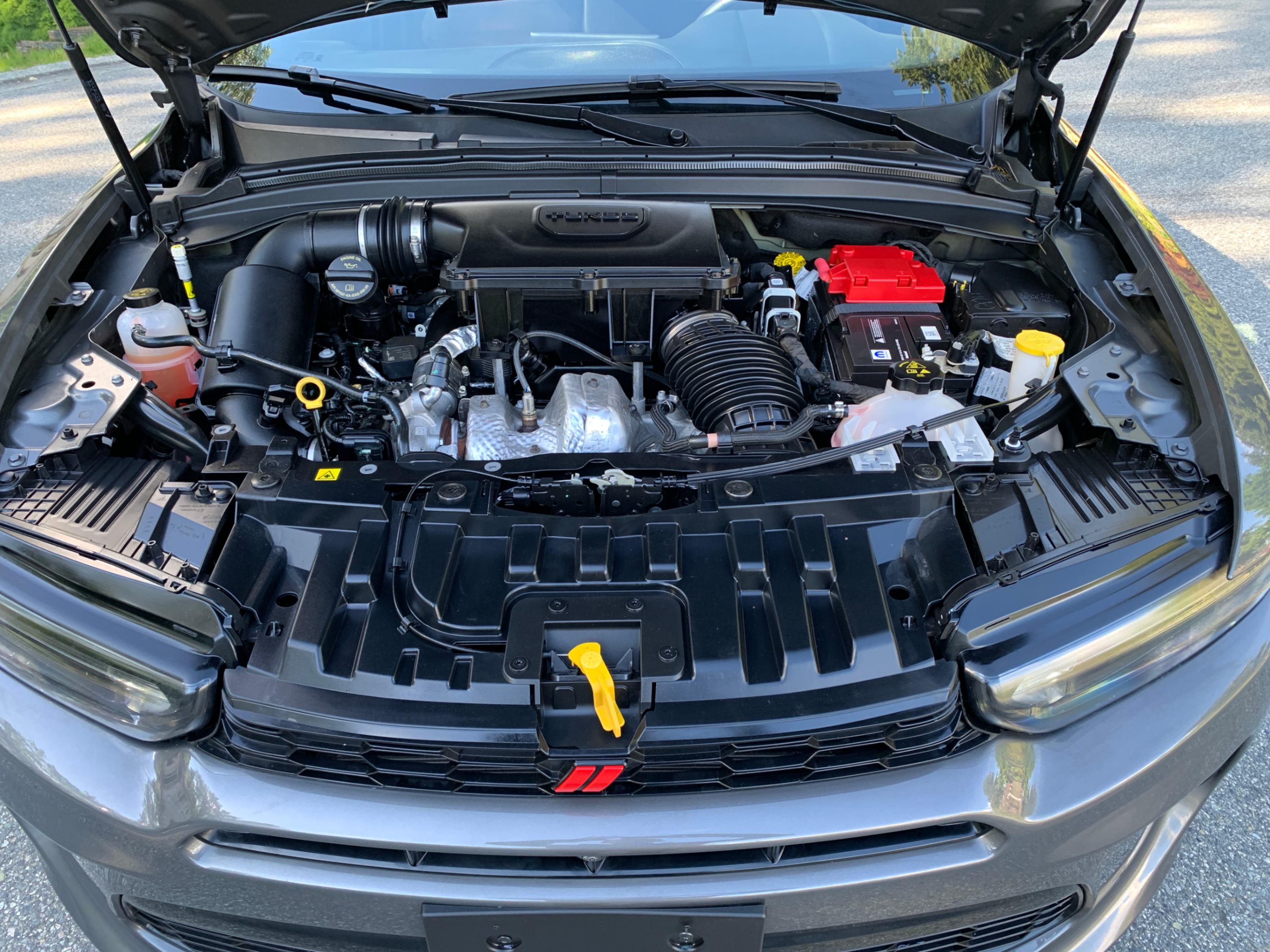 /enixmotorsportltd/2023-Dodge-Hornet-05711644666689919.jpg