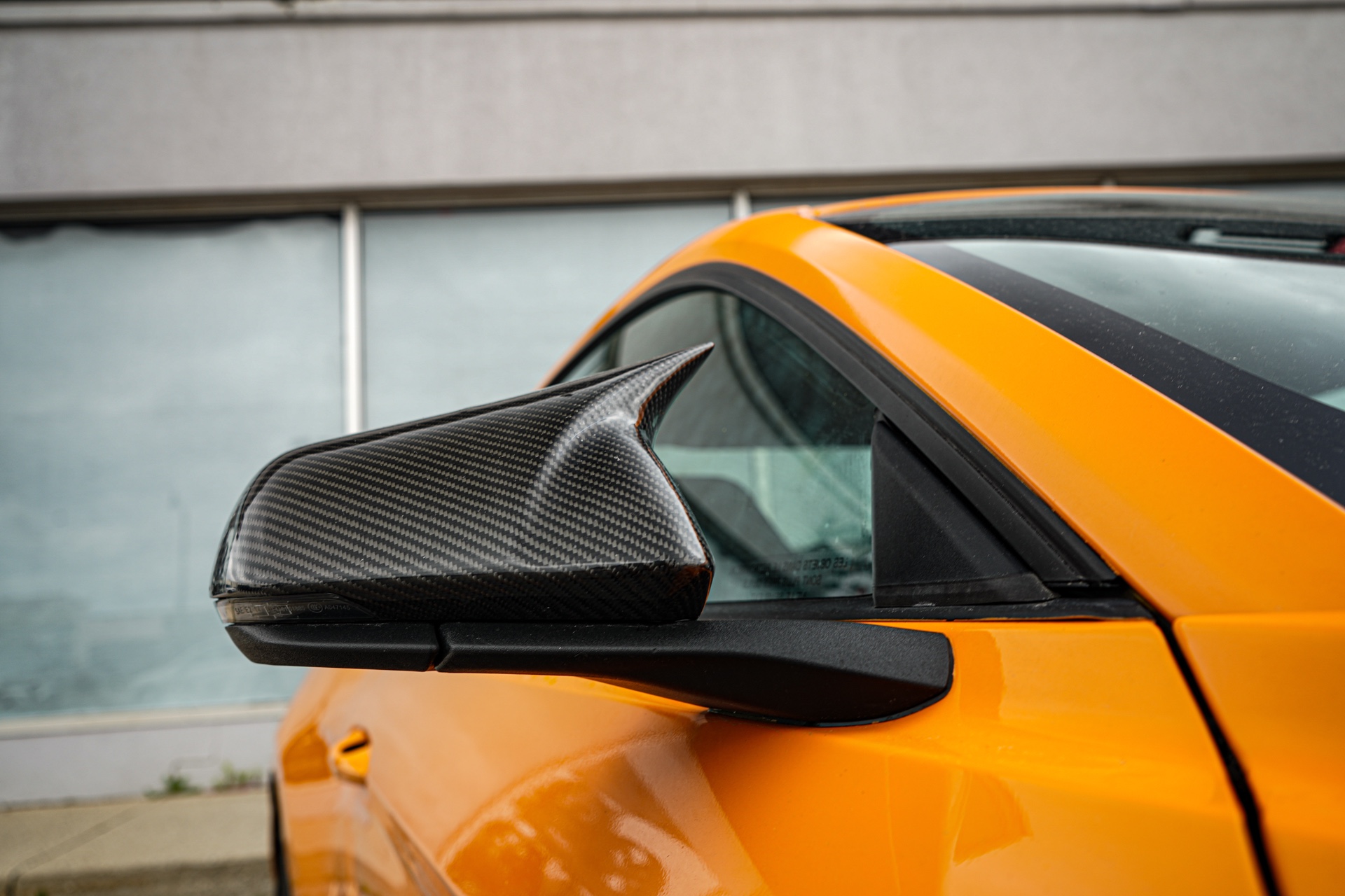 /firstmotors/2019-Ford-Mustang-9116810943742981.jpg