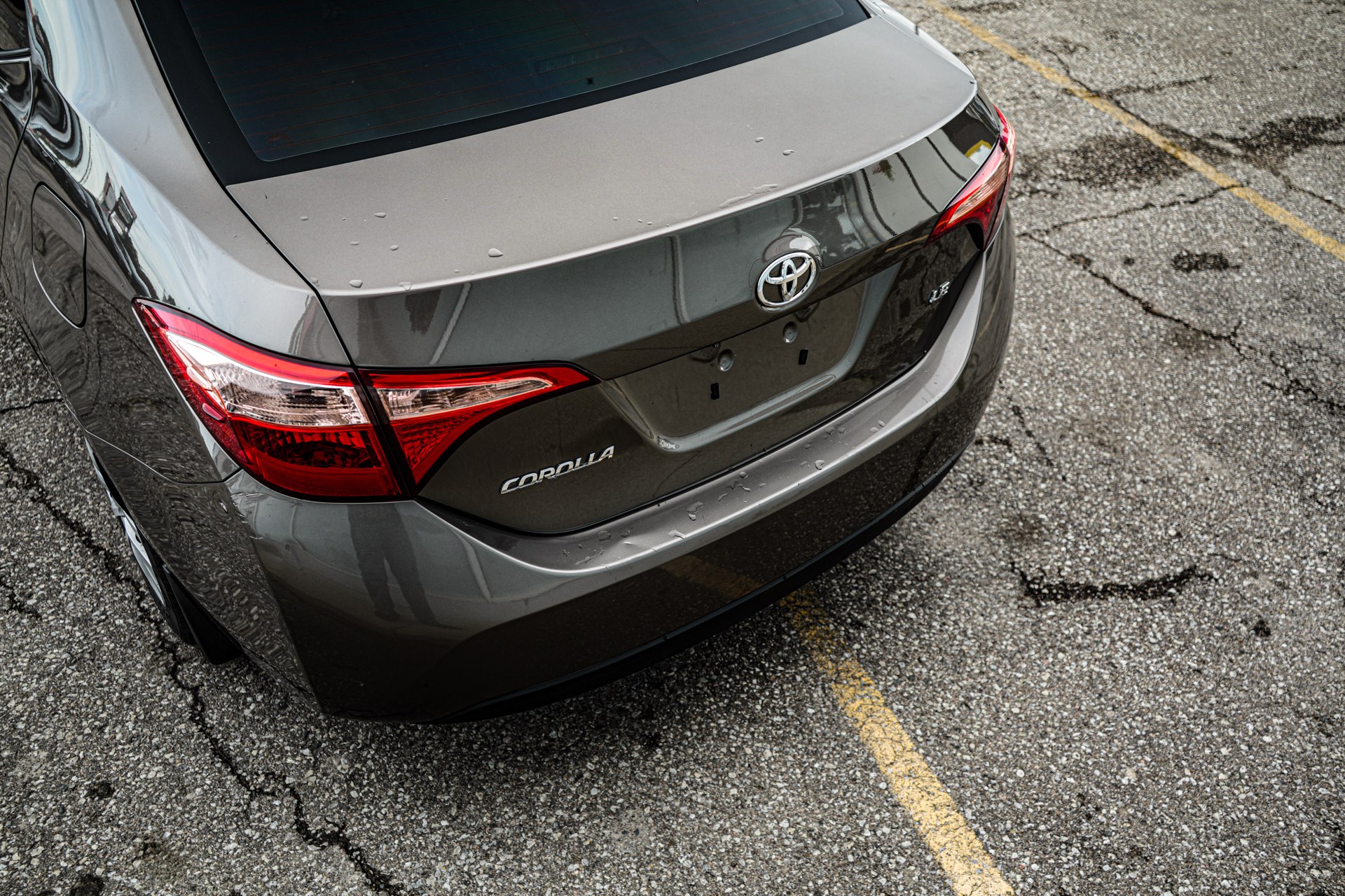 /firstmotors/2019-Toyota-Corolla-6715251784587377.jpg