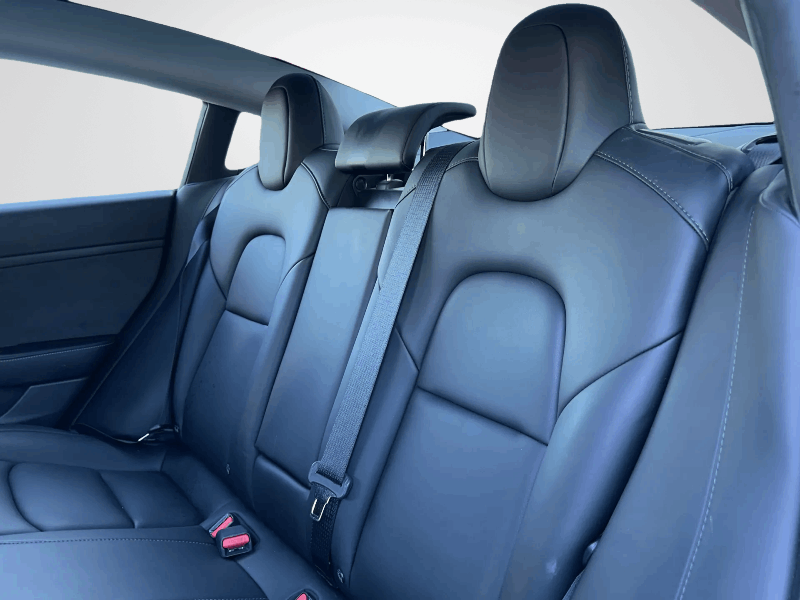 /firstmotors/2022-Tesla-Model3-3677565650980654.jpg