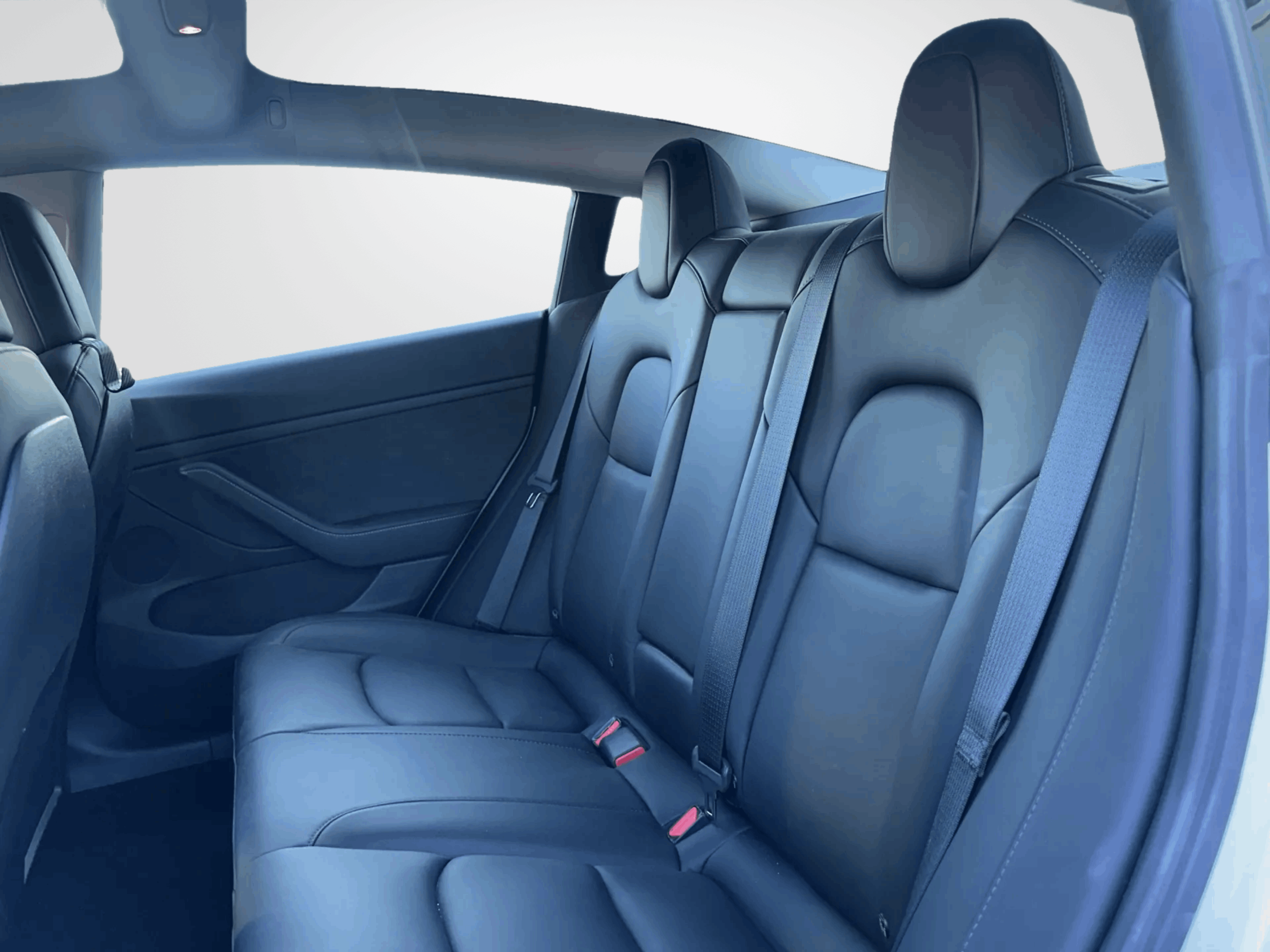 /firstmotors/2022-Tesla-Model3-7384944567448335.jpg