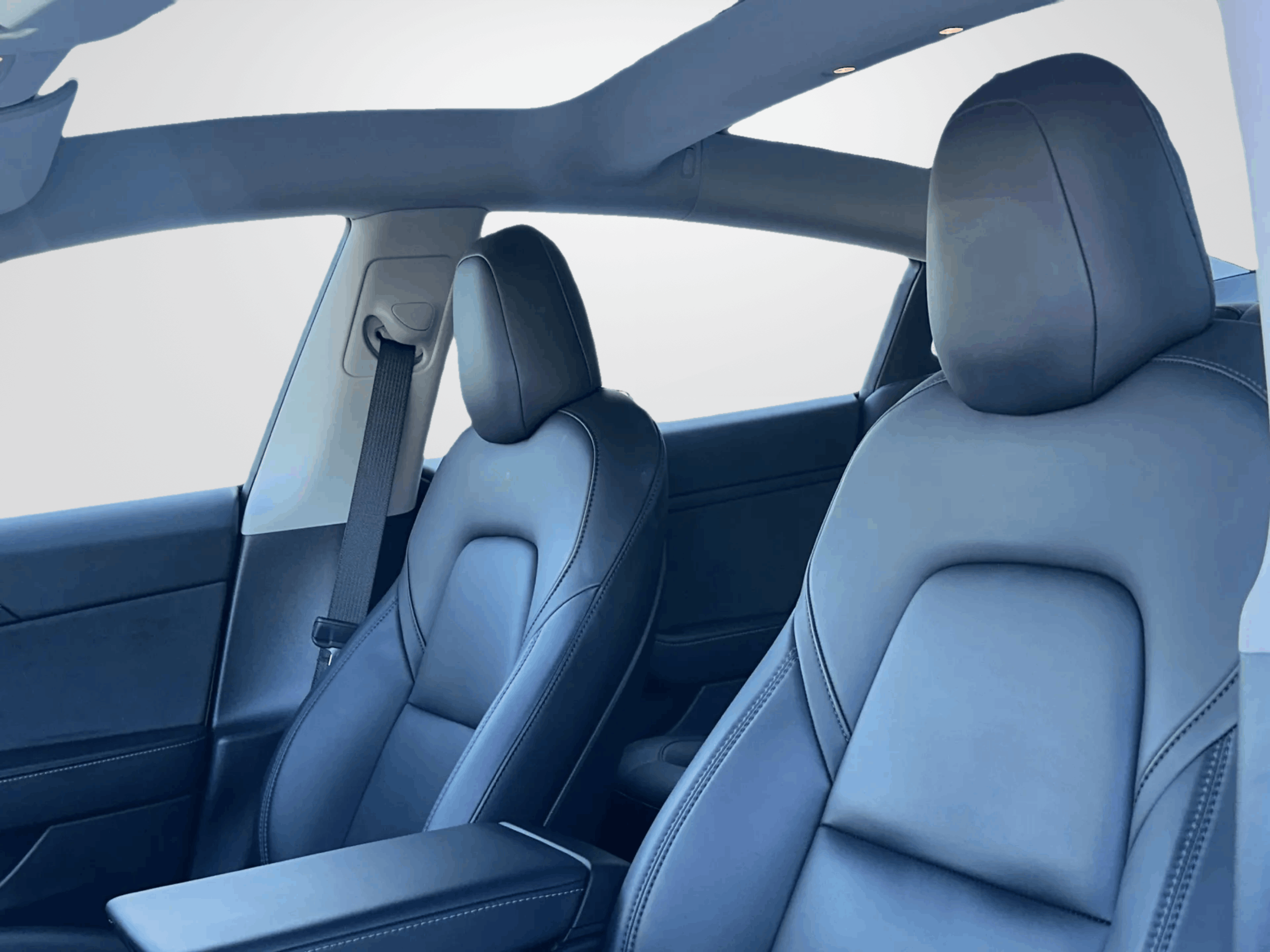 /firstmotors/2022-Tesla-Model3-9537392601933061.jpg