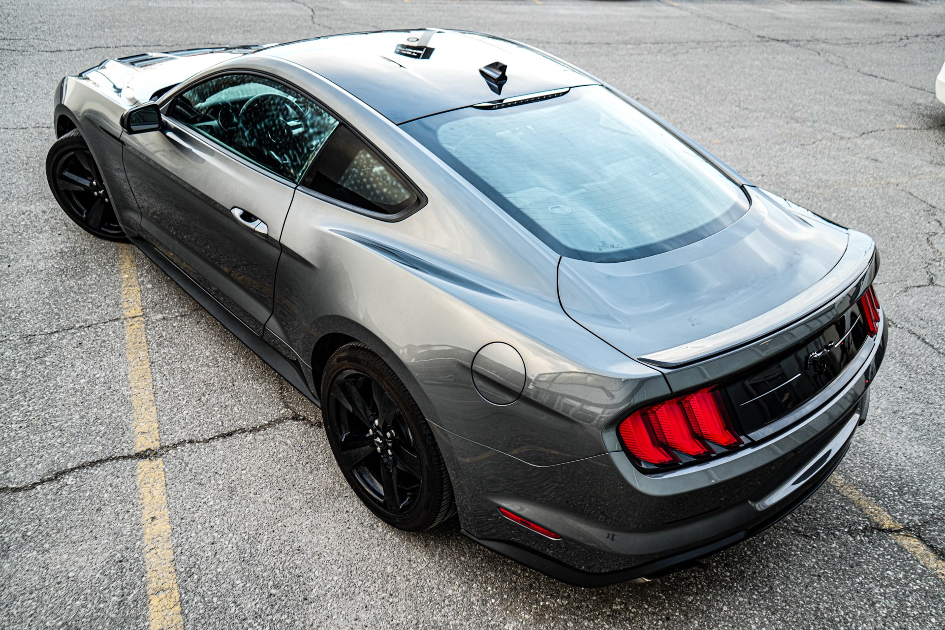 /firstmotors/2023-Ford-Mustang-38785395421934554.jpg