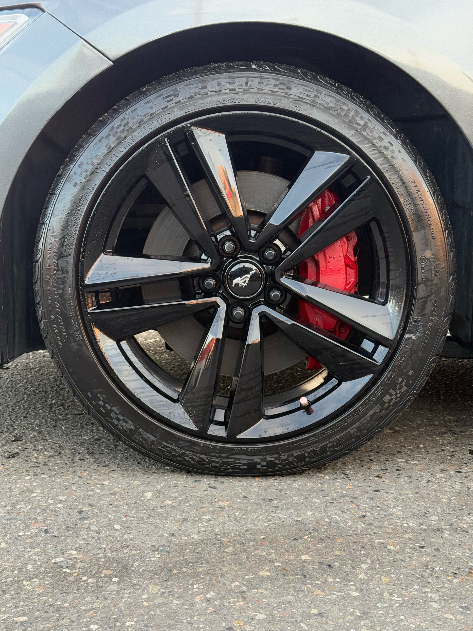 /grewalmotorsltd/2015-Ford-Mustang-6164763249087992.jpg