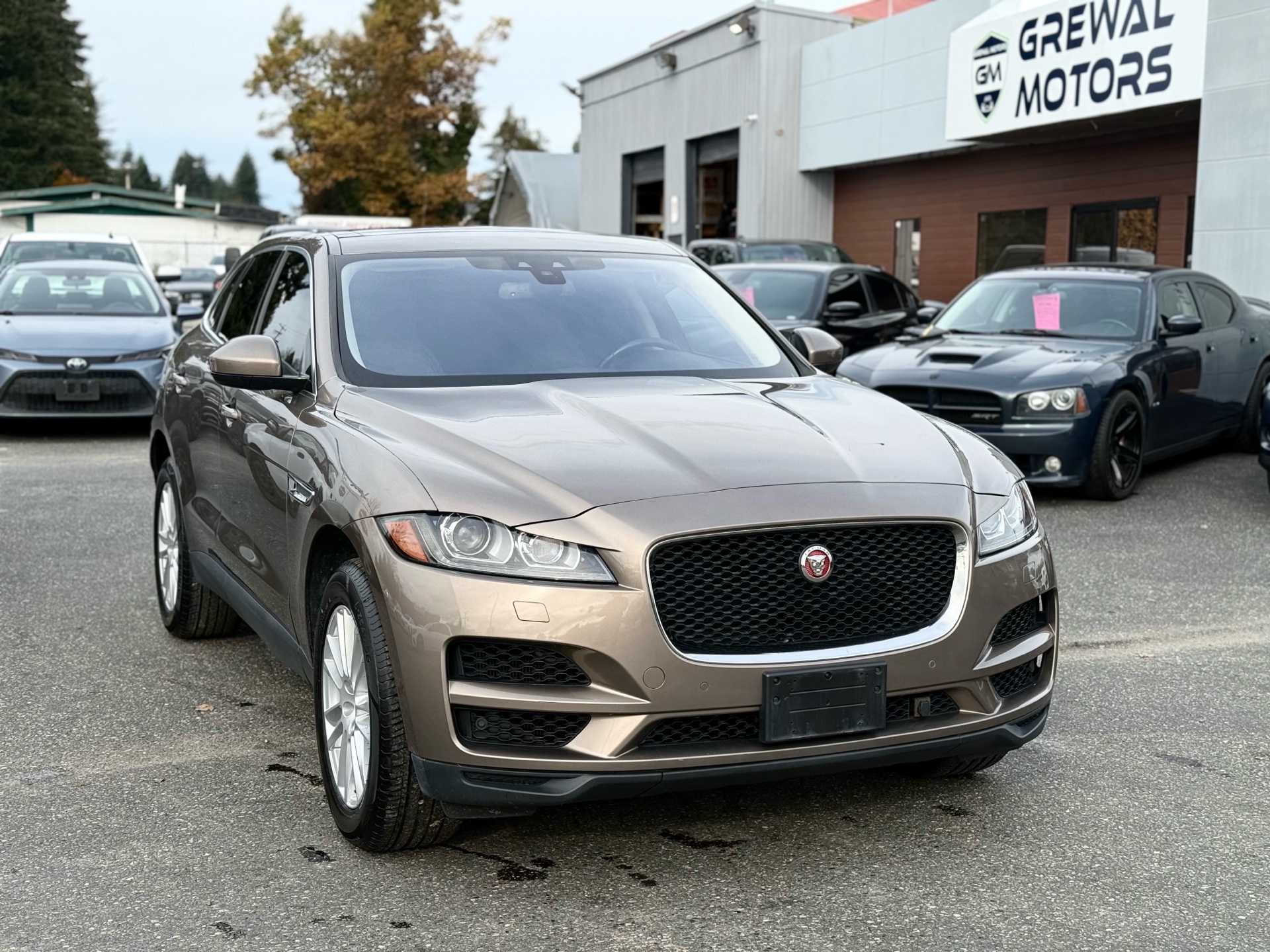 /grewalmotorsltd/2017-Jaguar-F-PACE-18115801148682986.jpg