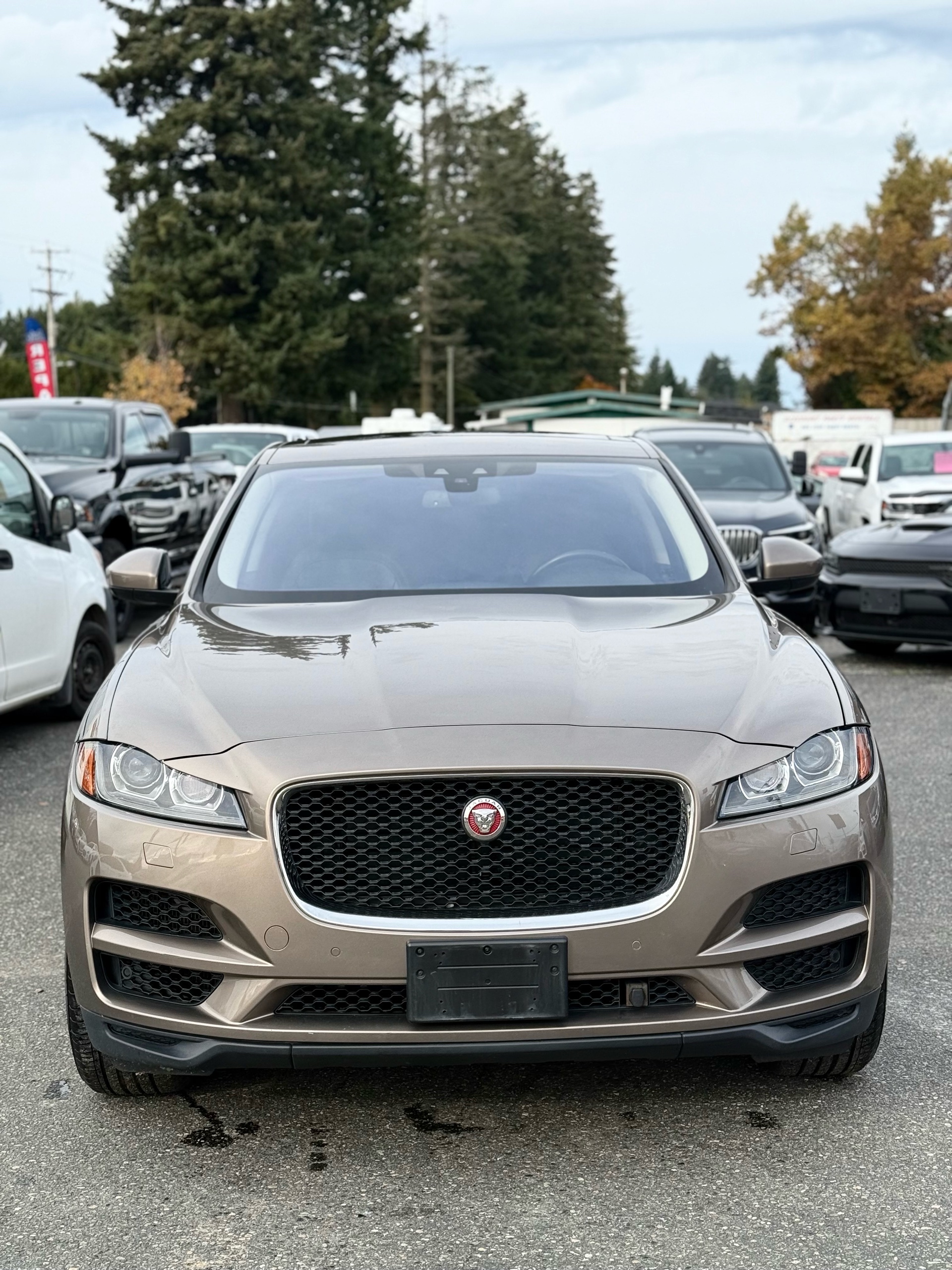 /grewalmotorsltd/2017-Jaguar-F-PACE-7135249578695699.jpg