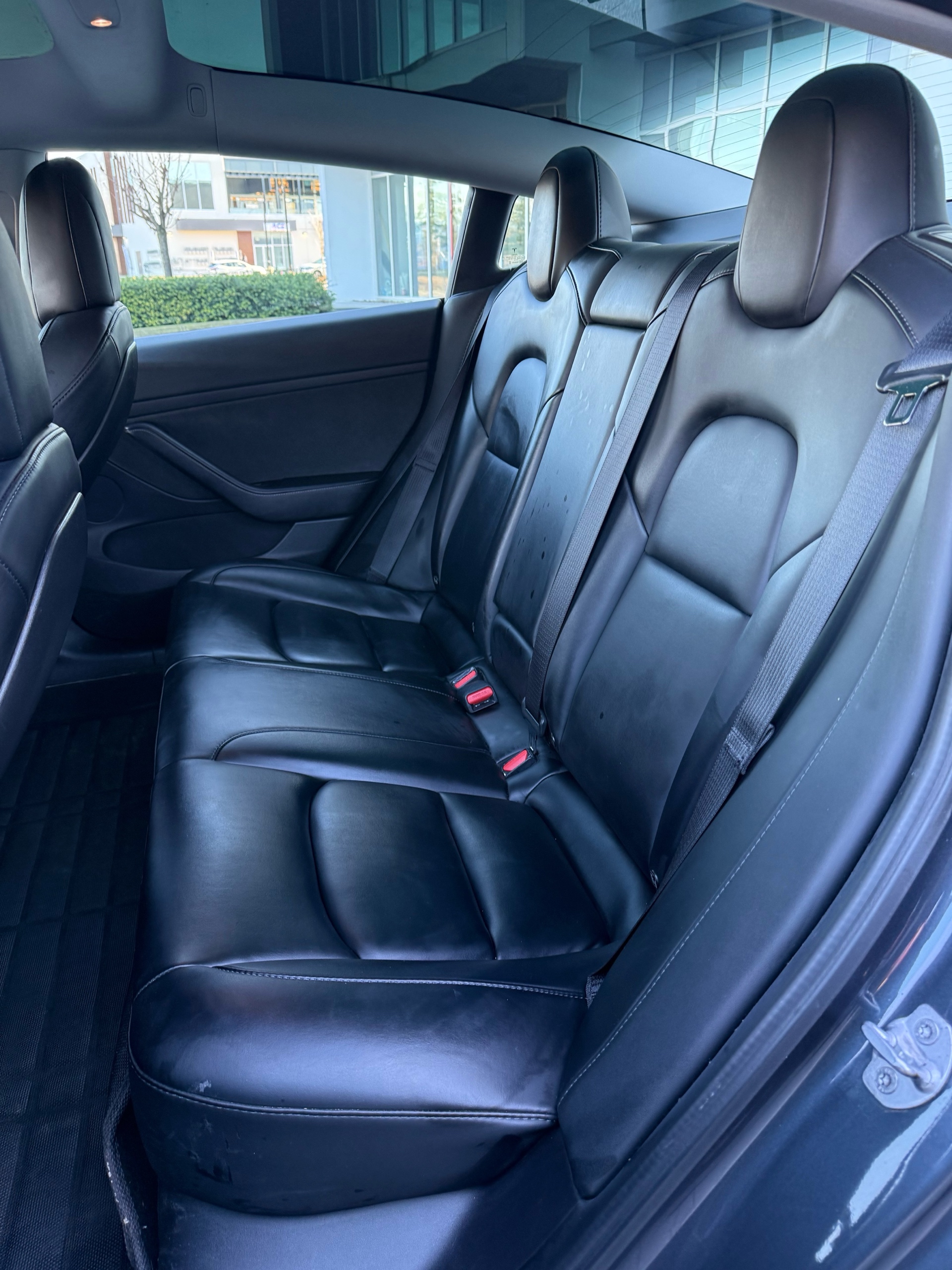 /grewalmotorsltd/2021-Tesla-Model3-3513133076531165.jpg