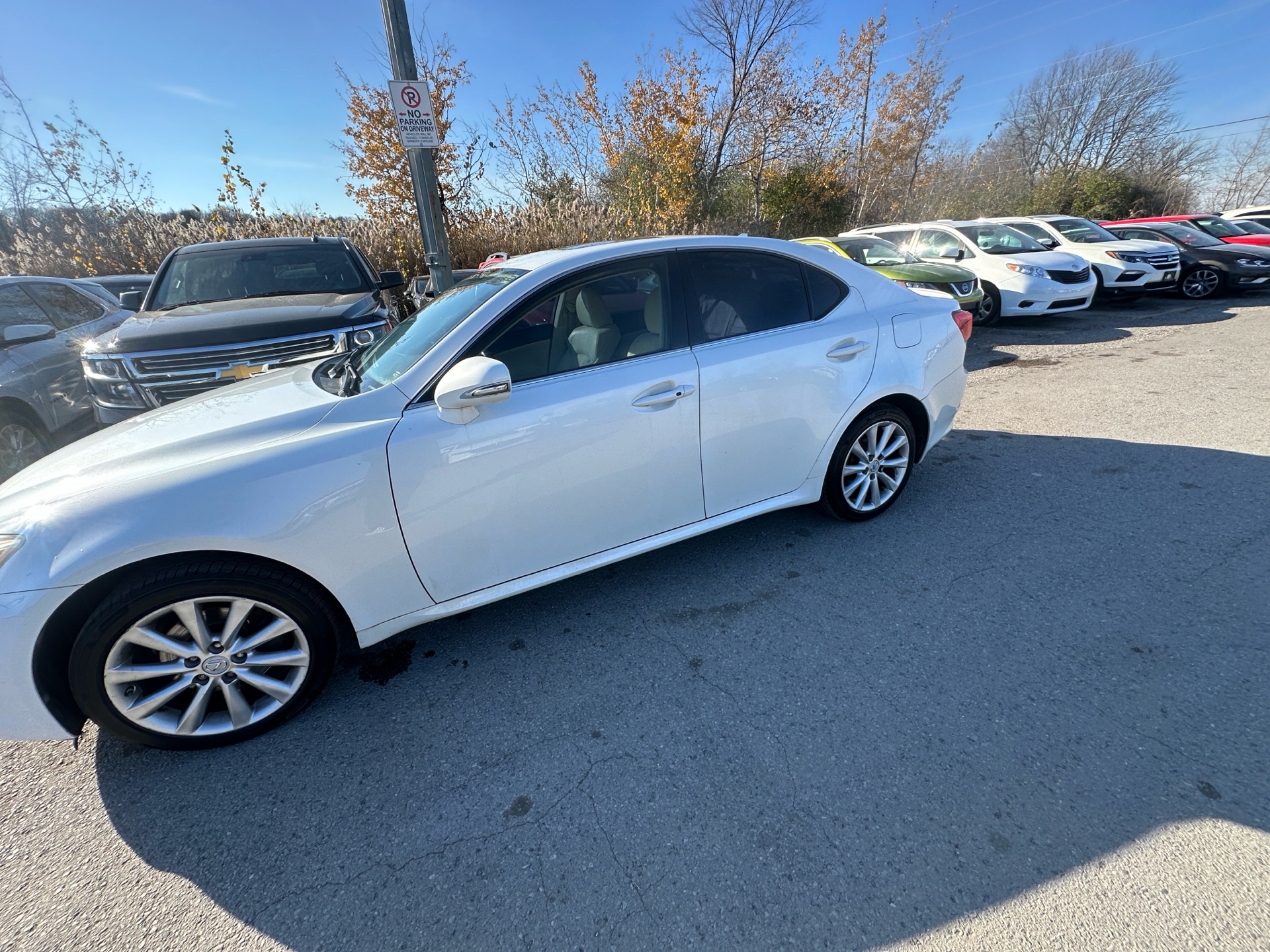 /hakimautosale/2009-Lexus-IS250-6333305344036488.jpg