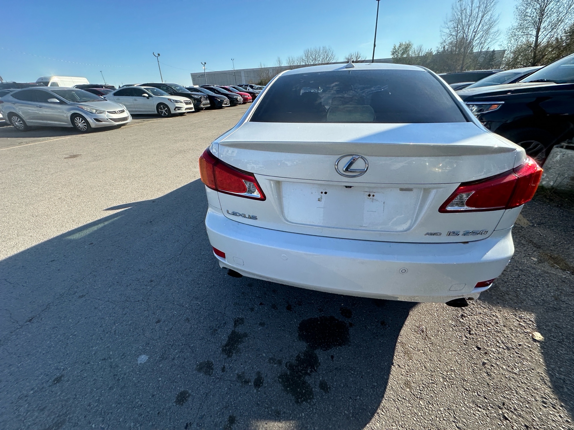 /hakimautosale/2009-Lexus-IS250-9271030147220465.jpg