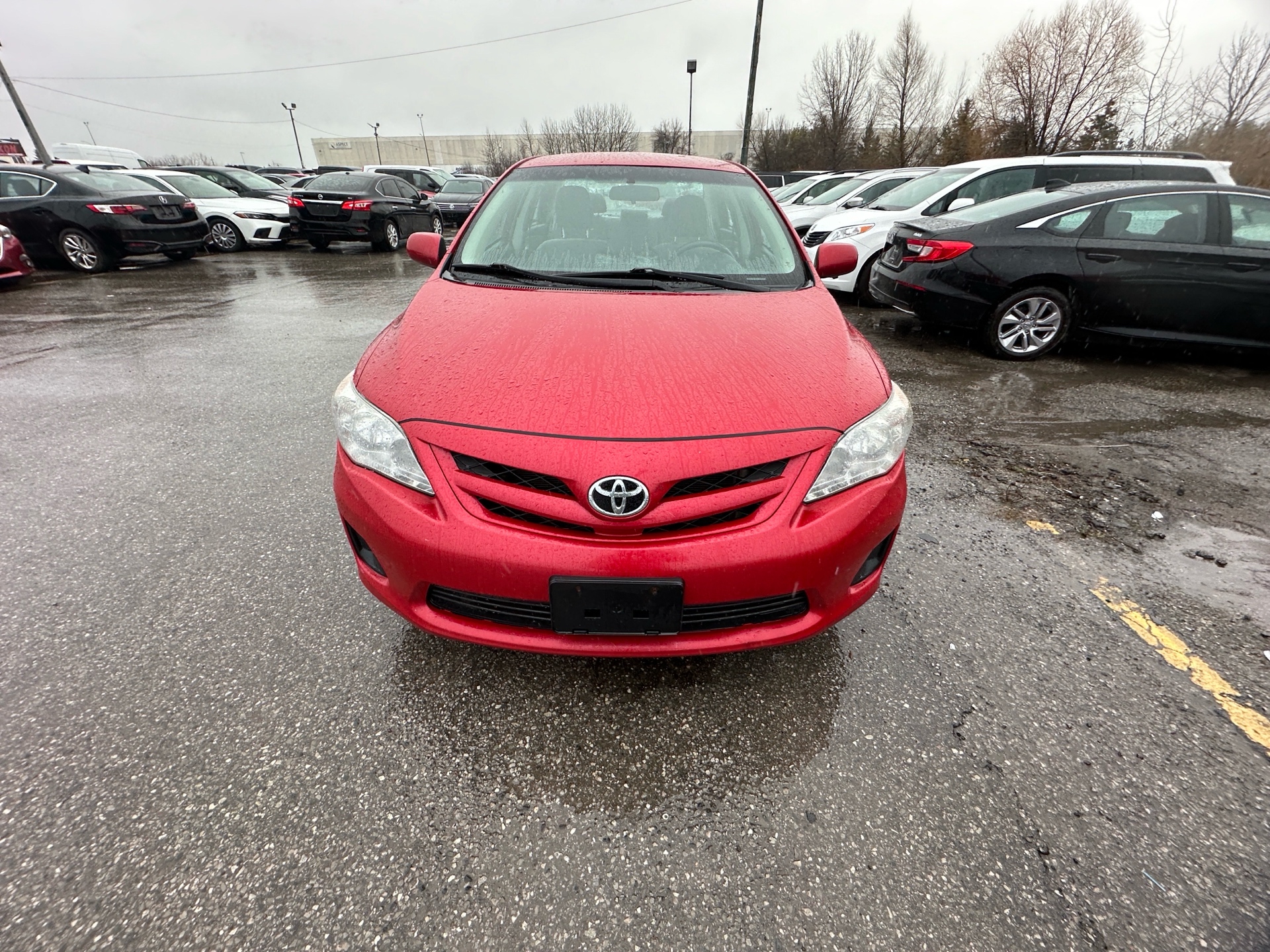 /hakimautosale/2011-Toyota-Corolla-3843279000837805.jpg