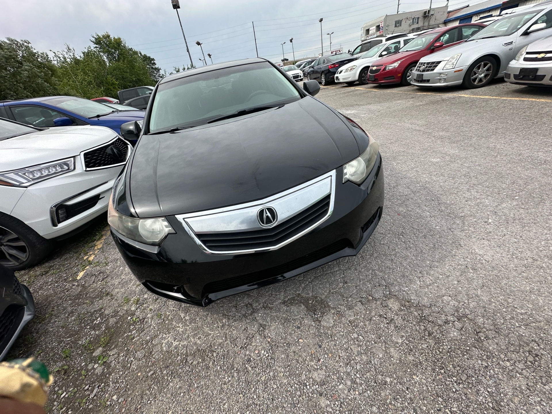 /hakimautosale/2012-Acura-TSX-421239430391255.jpg