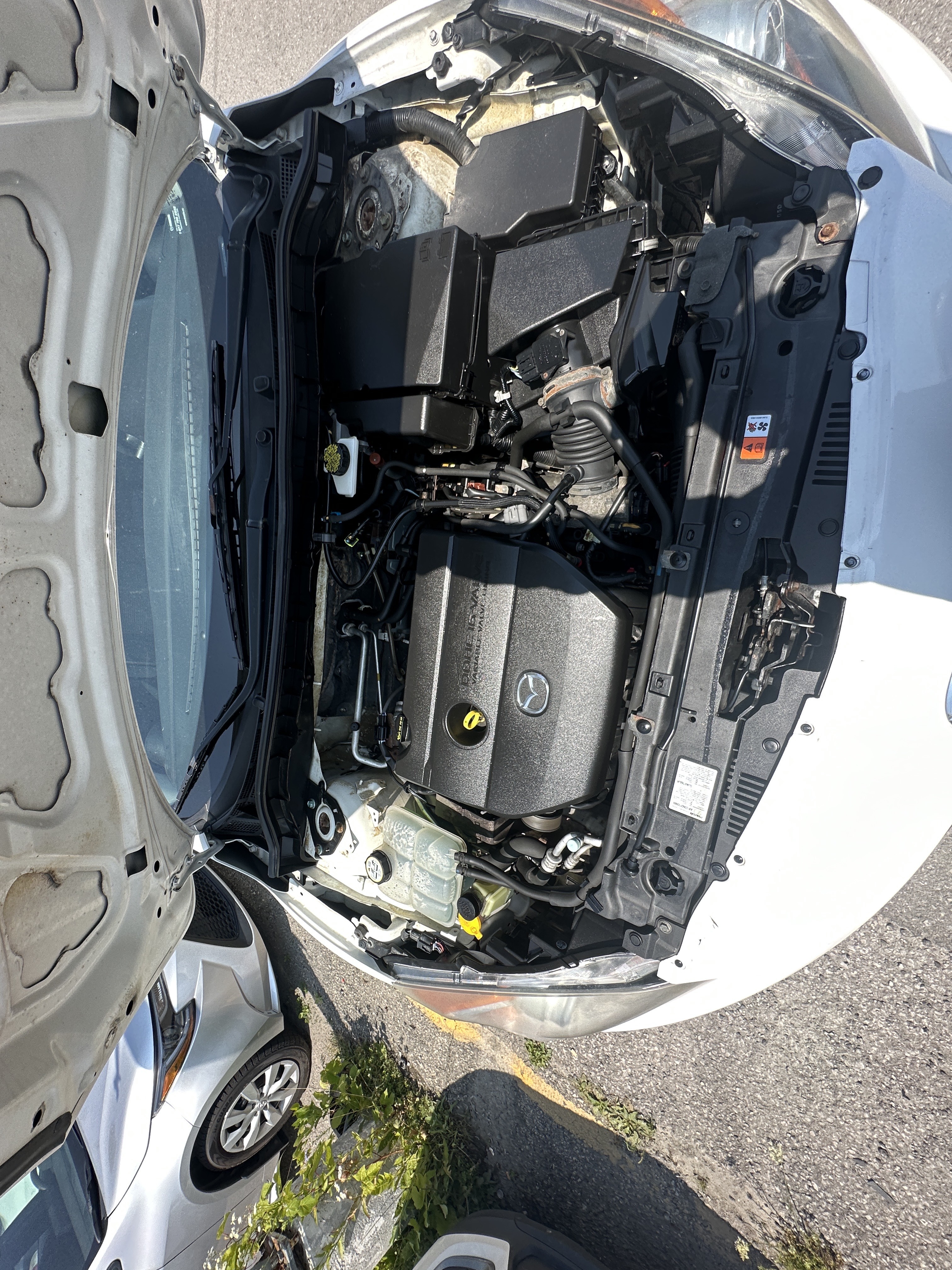 /hakimautosale/2013-Mazda-Mazda3-2545079725194337.jpg