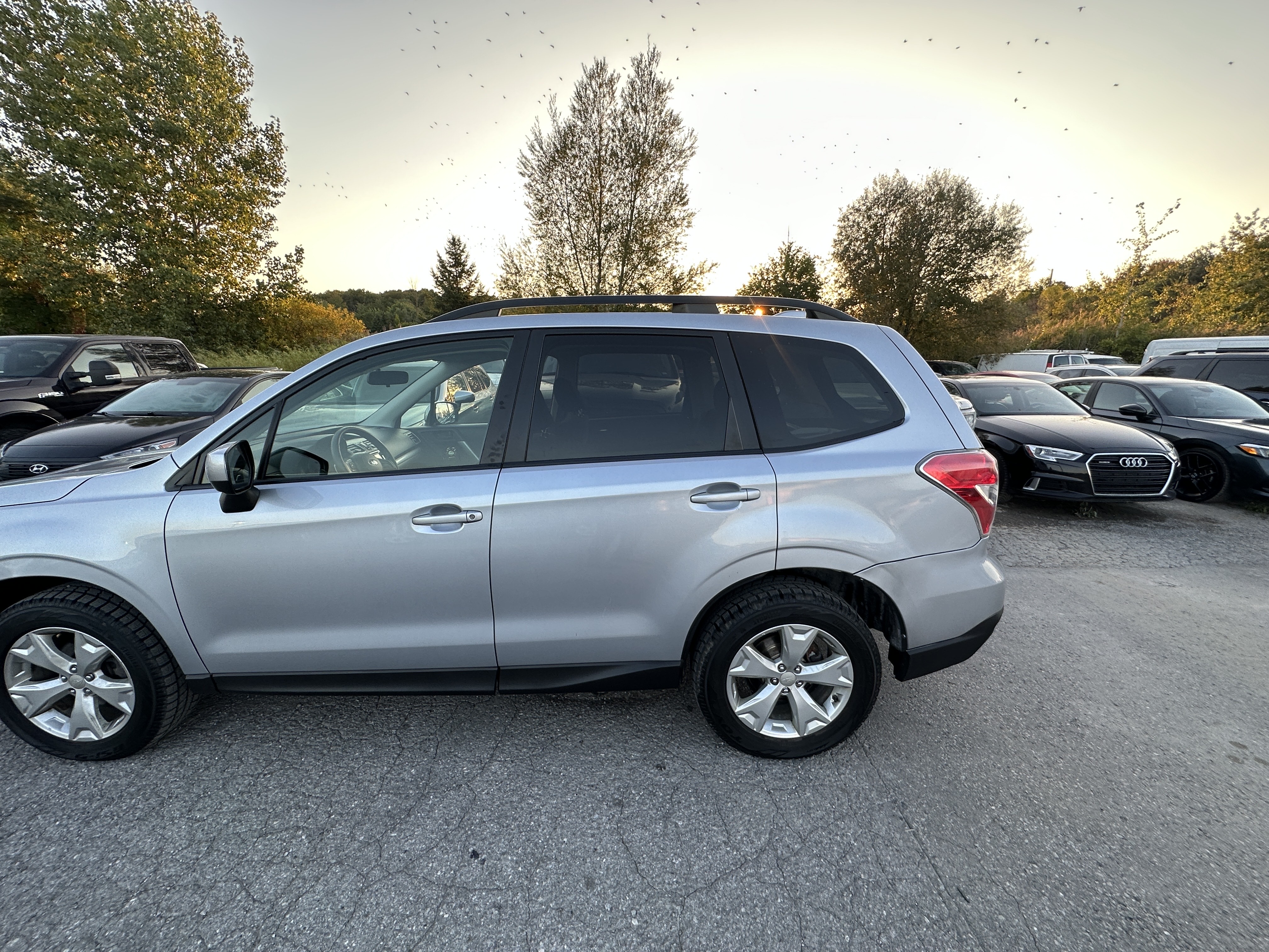/hakimautosale/2016-Subaru-Forester-061645521637424316.jpg