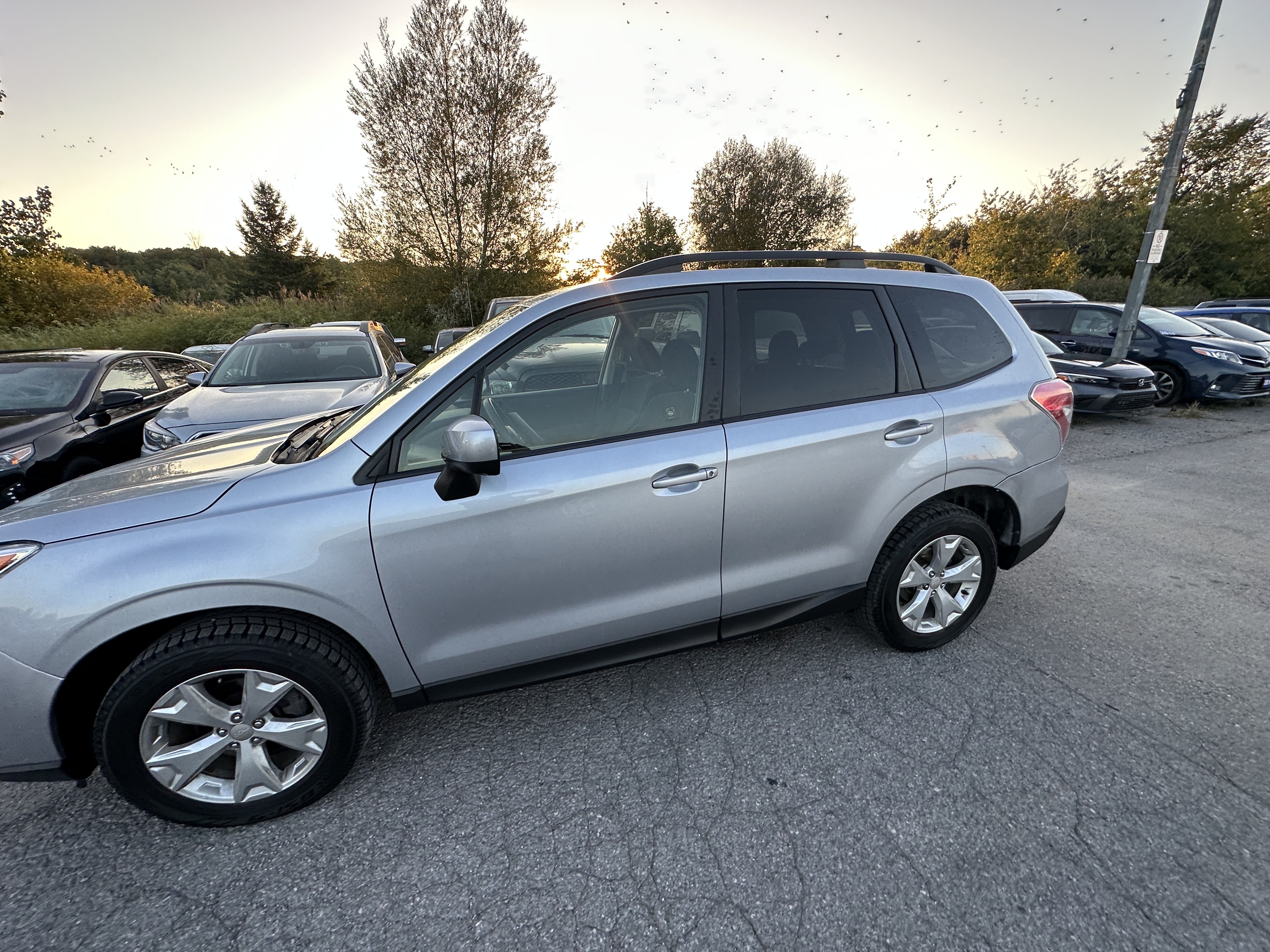/hakimautosale/2016-Subaru-Forester-9487263478441474.jpg