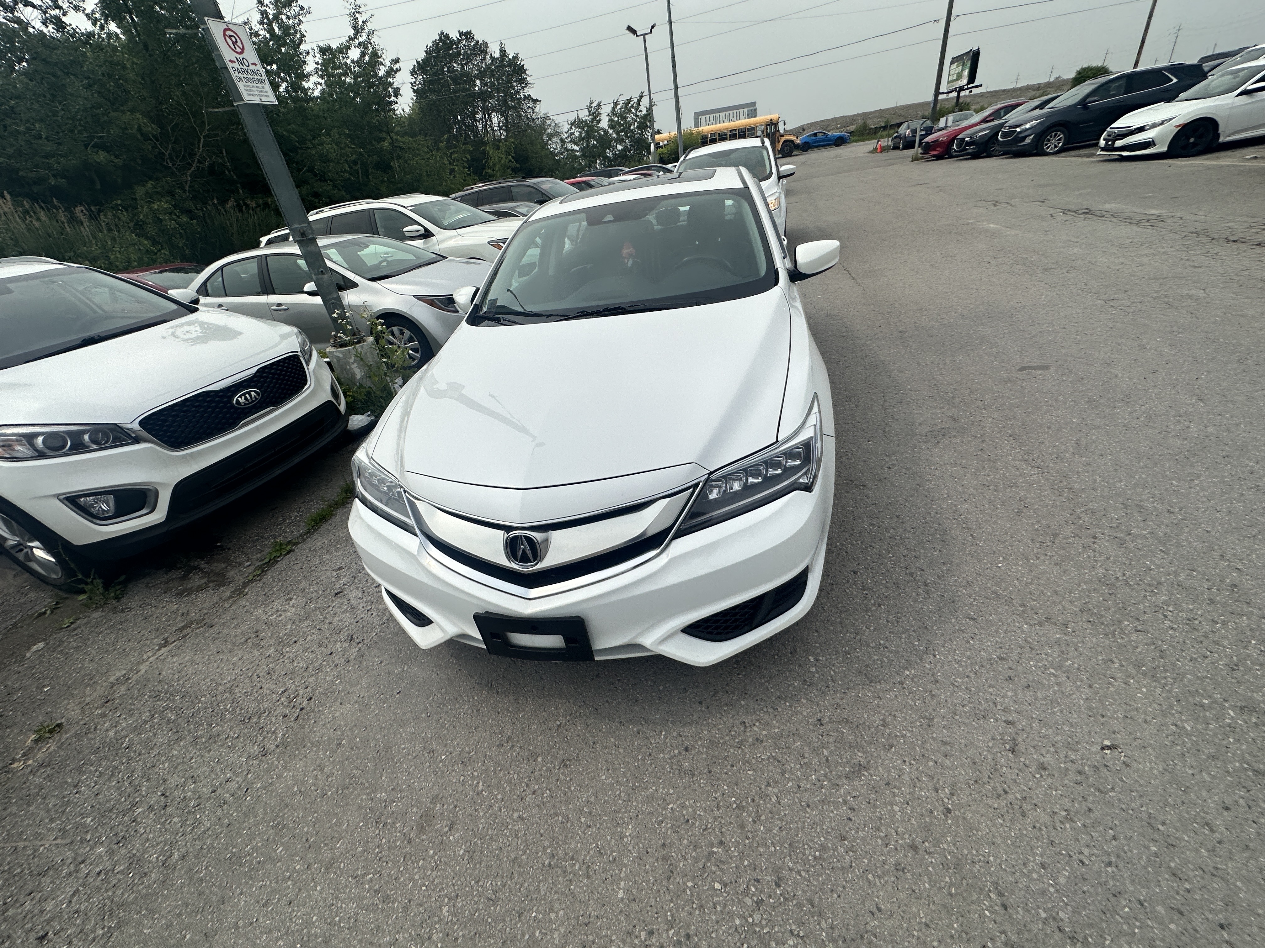 /hakimautosale/2017-Acura-ILX-779956504641494.jpg