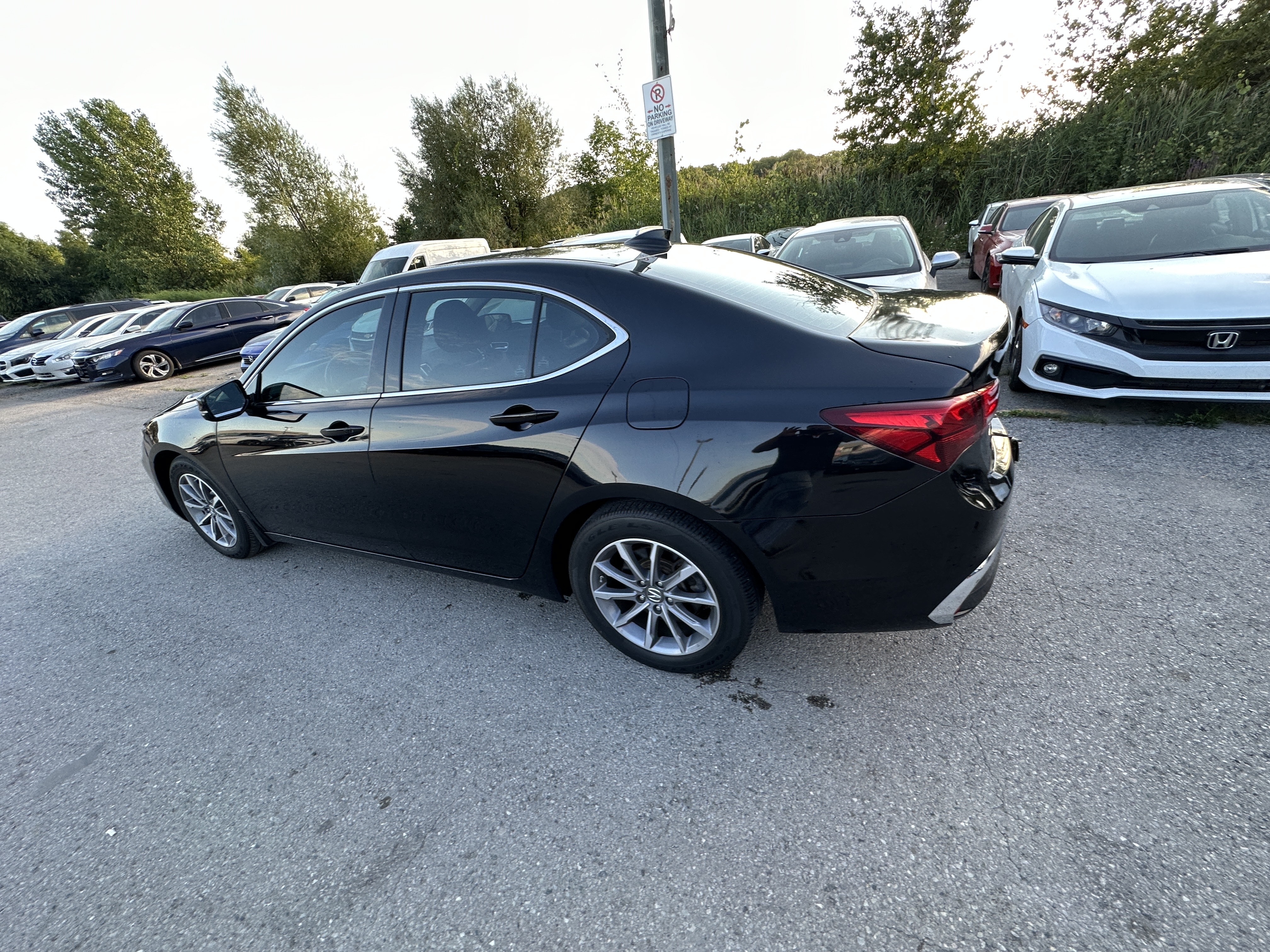 /hakimautosale/2019-Acura-TLX-09454489242557762.jpg