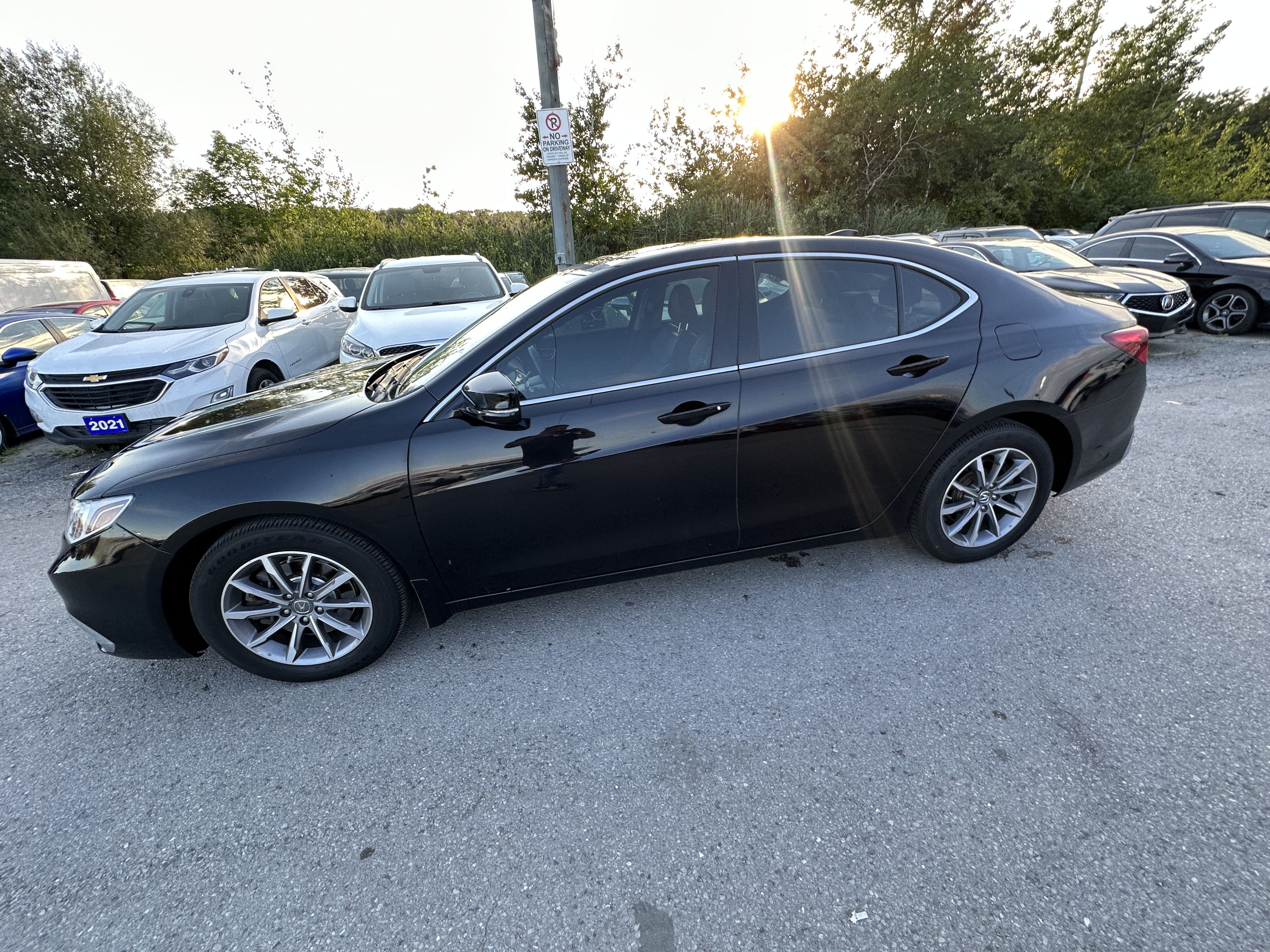 /hakimautosale/2019-Acura-TLX-5022008523298171.jpg