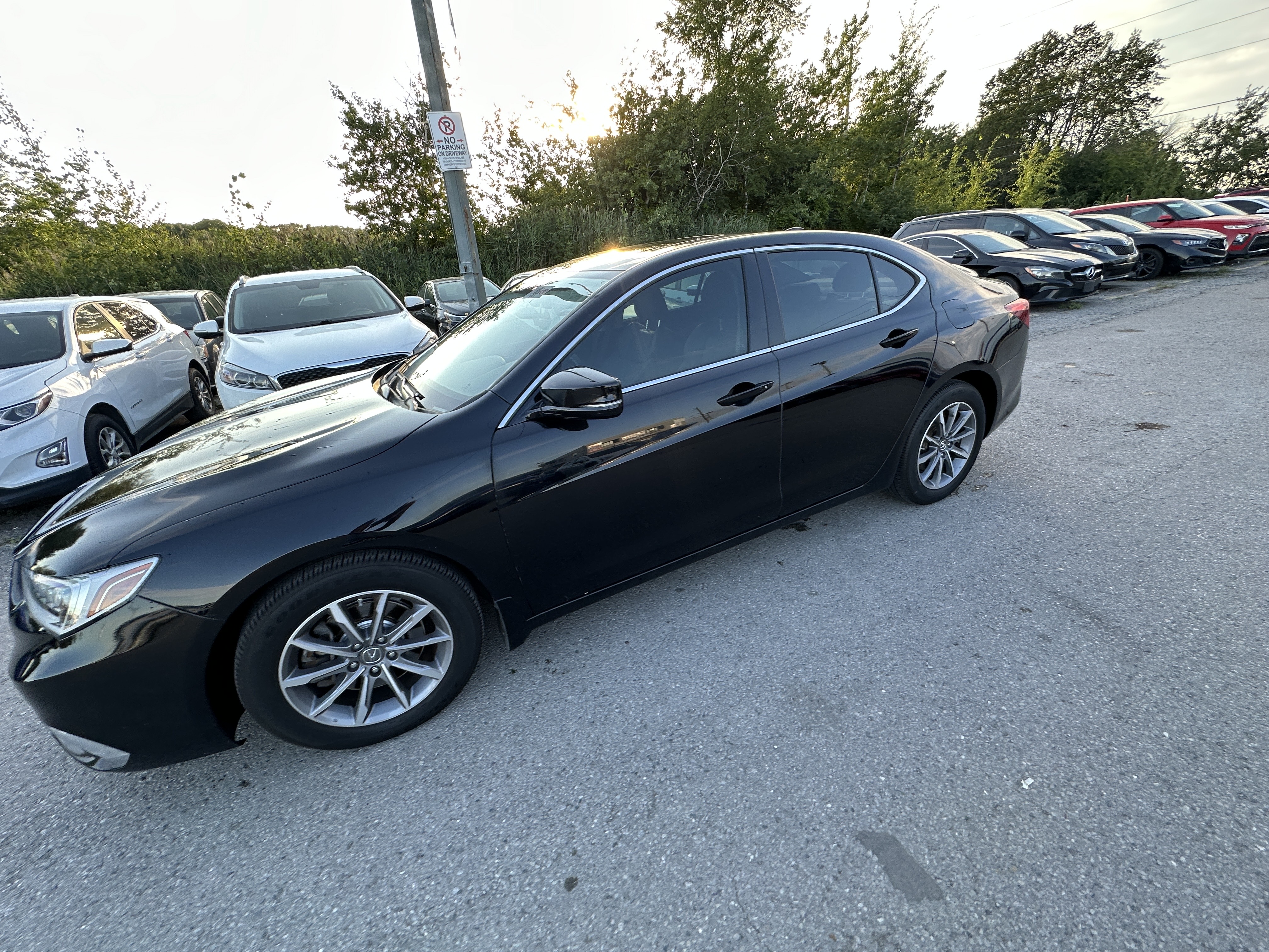 /hakimautosale/2019-Acura-TLX-5736130046809673.jpg