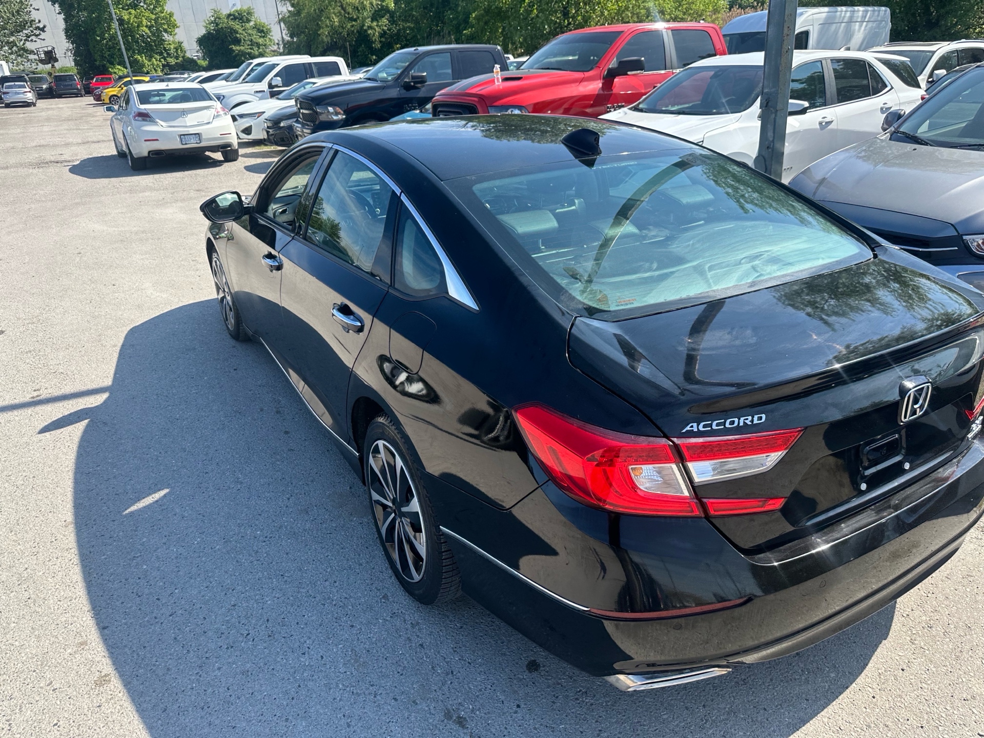 /hakimautosale/2019-Honda-Accord-20884941578809113.jpg
