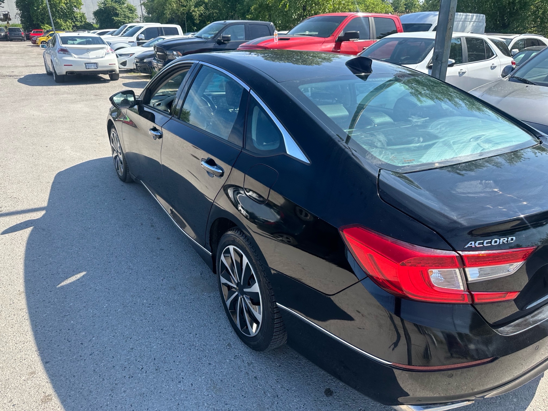 /hakimautosale/2019-Honda-Accord-8185662066380304.jpg