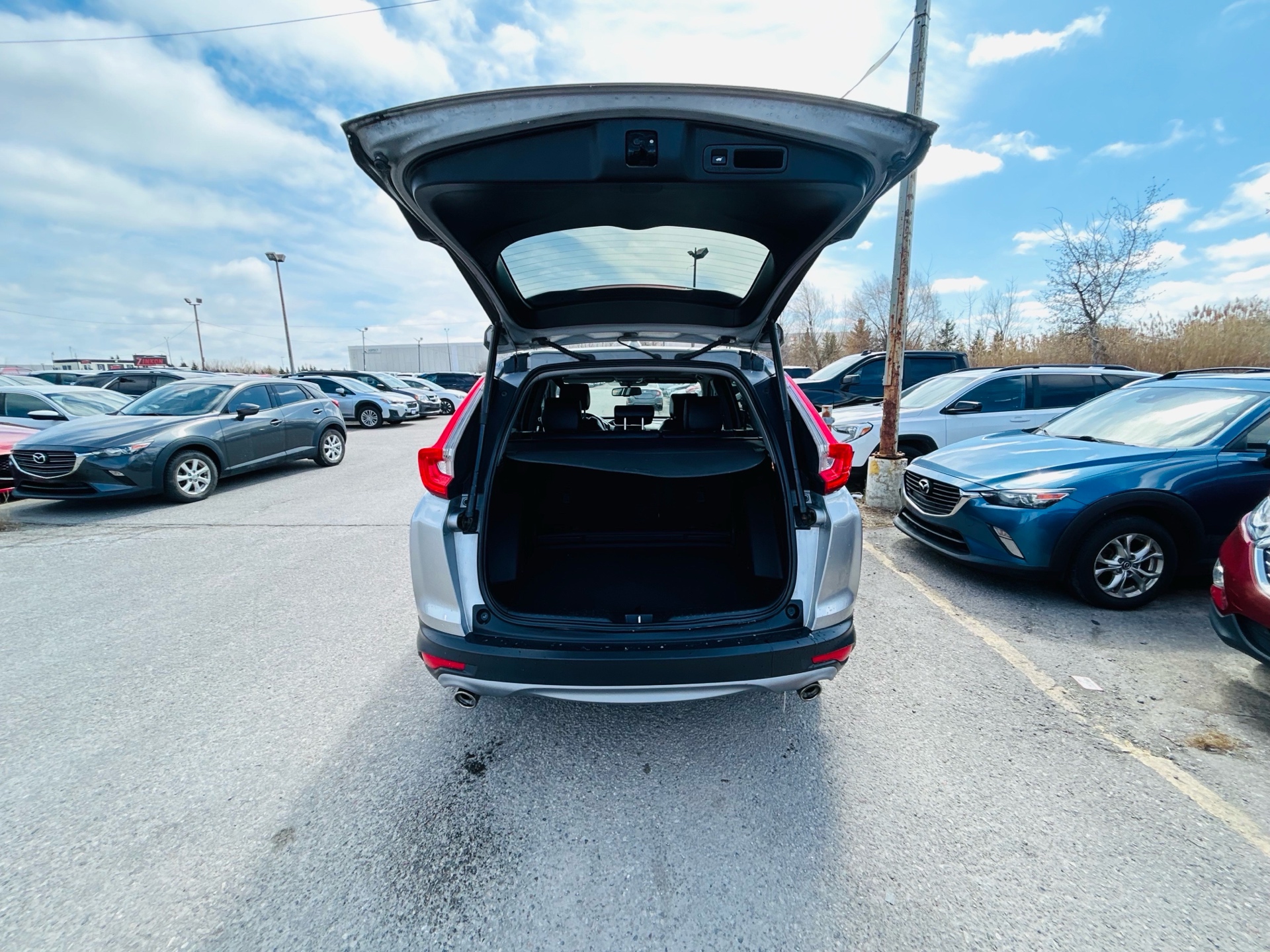 /hakimautosale/2019-Honda-CR-V-6099378910801214.jpg