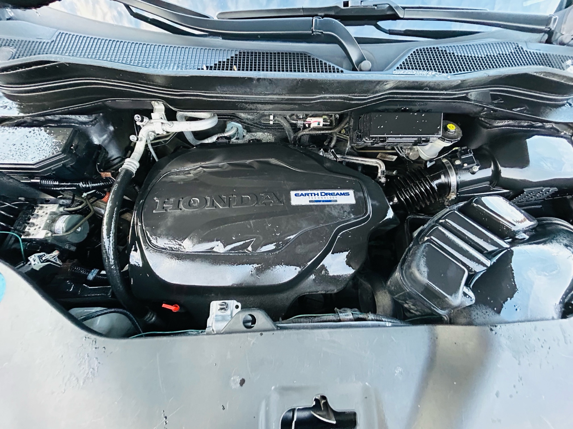 /hakimautosale/2019-Honda-Pilot-1696903169314541.jpg