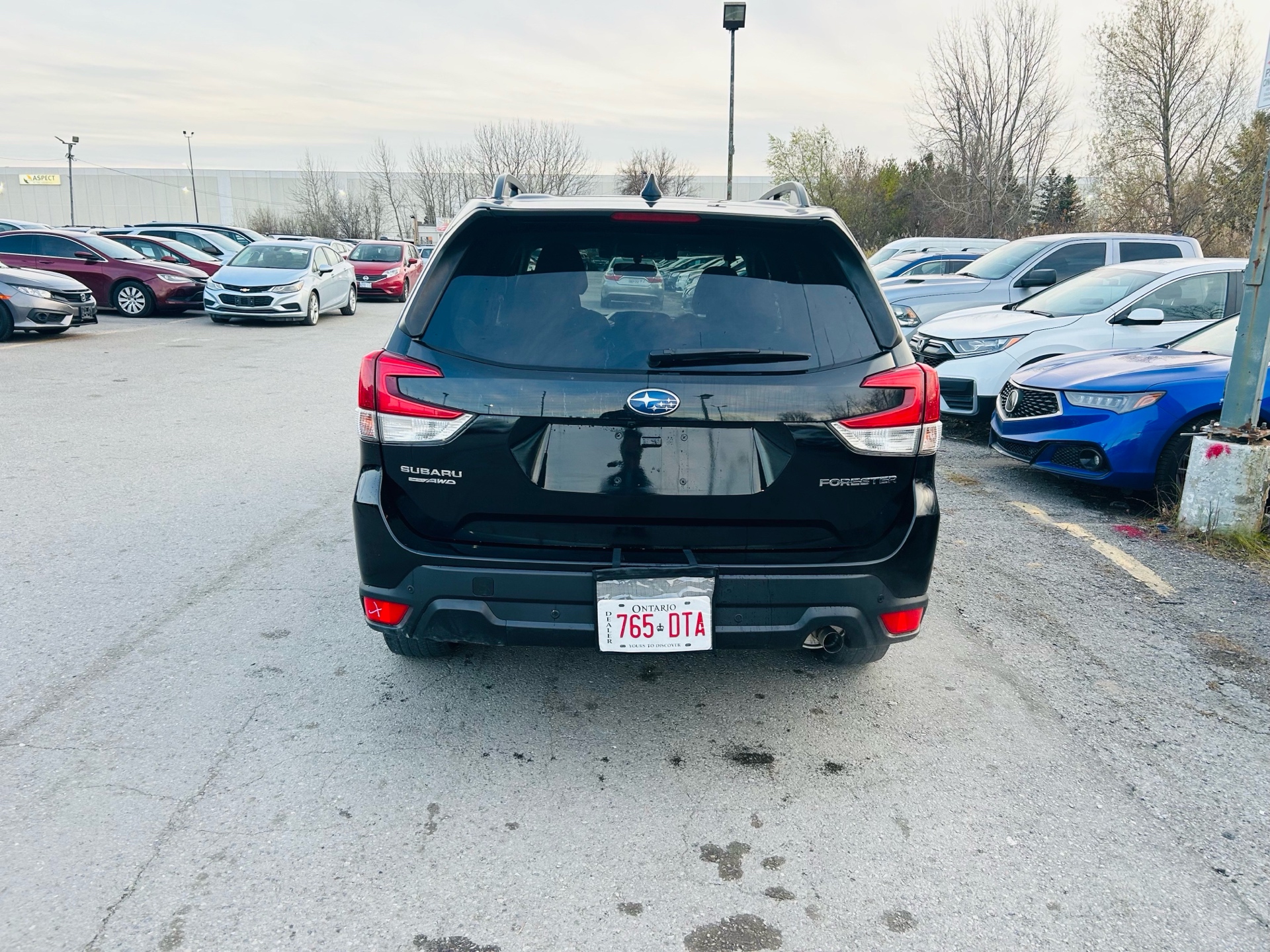 /hakimautosale/2019-Subaru-Forester-3040065422002196.jpg