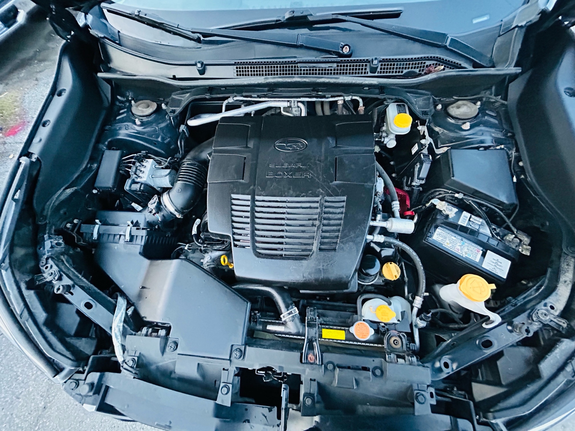 /hakimautosale/2019-Subaru-Forester-6164117696280518.jpg