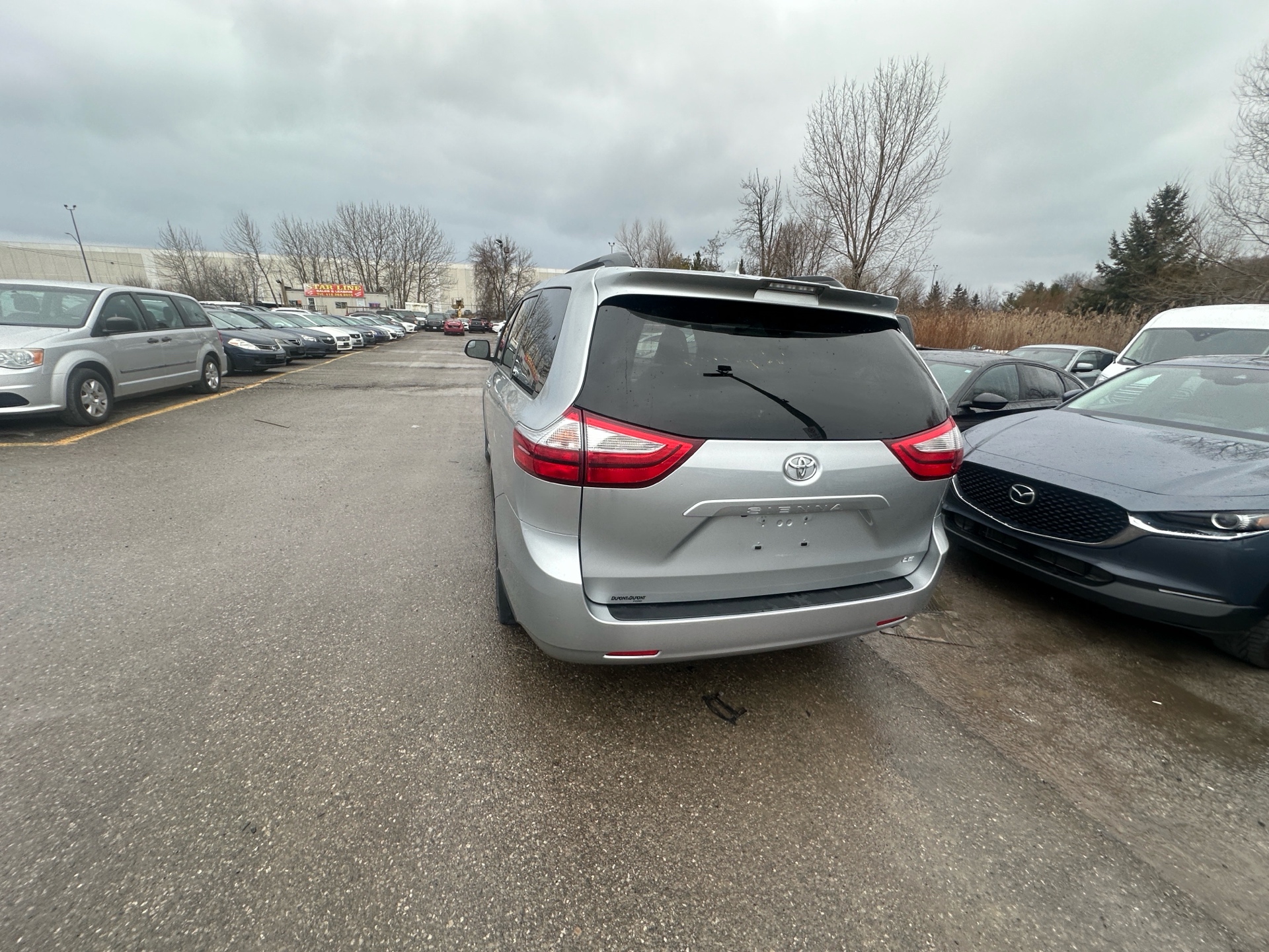 /hakimautosale/2019-Toyota-Sienna-5639568271153759.jpg
